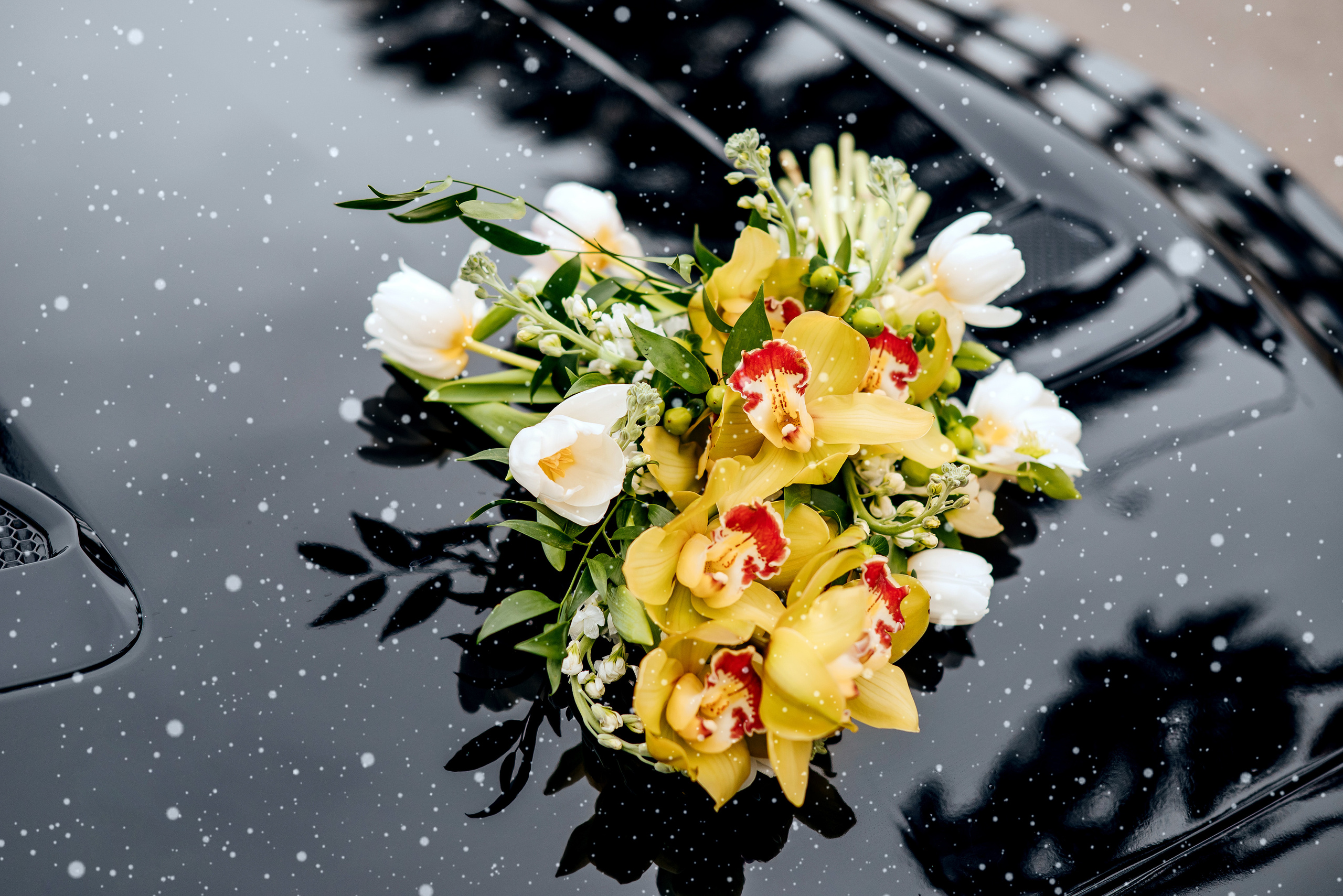 Свадьба в Сочи! Аллея пальм). Свадебный и семейный фотограф в Донецке, Ростове, Севастополе!