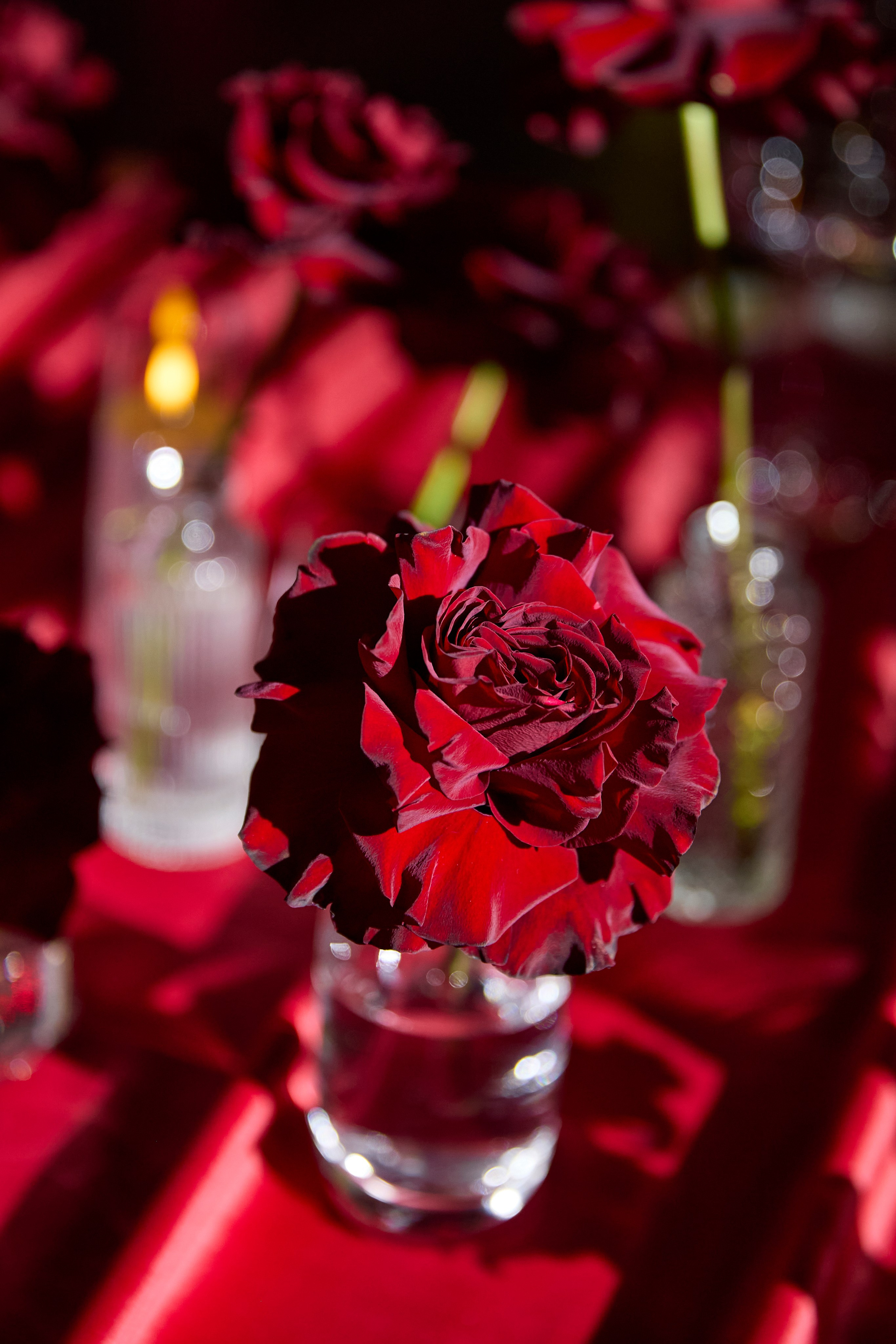 Будда Бар. Свадебный фотограф Анастасия Казакова