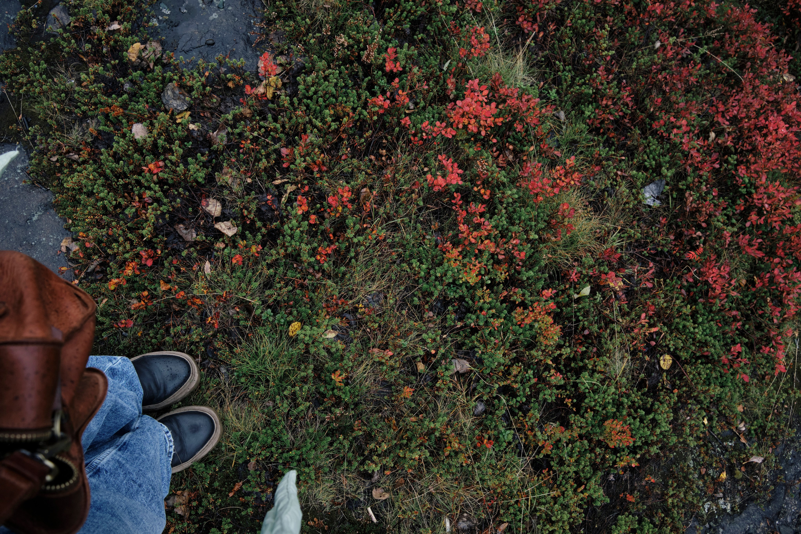 Поездка в Мурманск. Заметки и фото. Елена Павленко. Фотограф. Москва