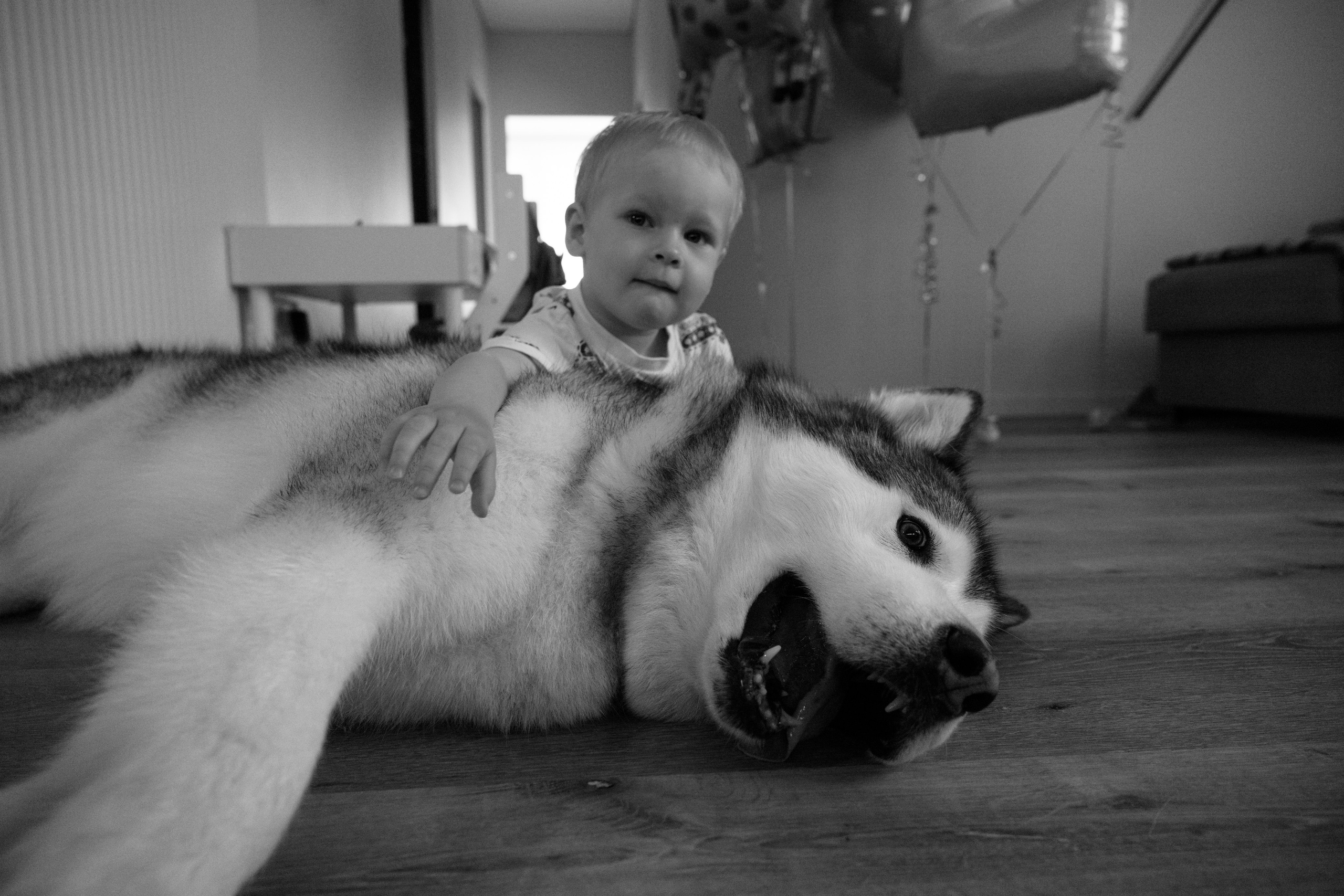 Лев 2 годика. Свадебный и семейный фотограф  во Владивостоке Ольга Украинец