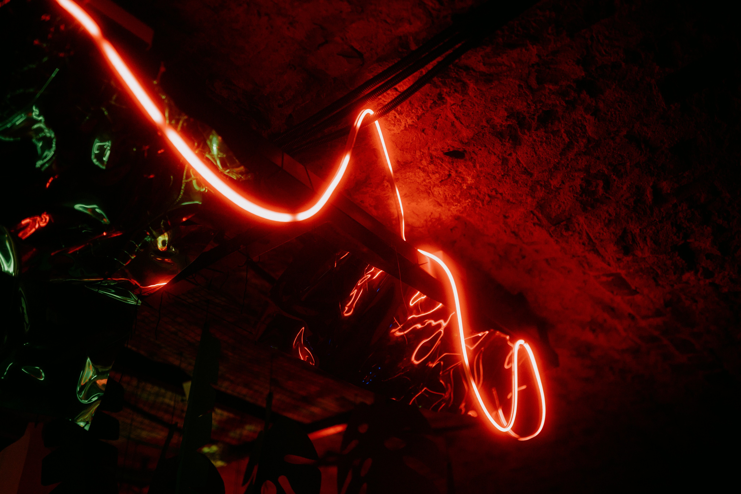 Кратная Звезда | JUNGLE WAVE. Фотограф Vika Rin