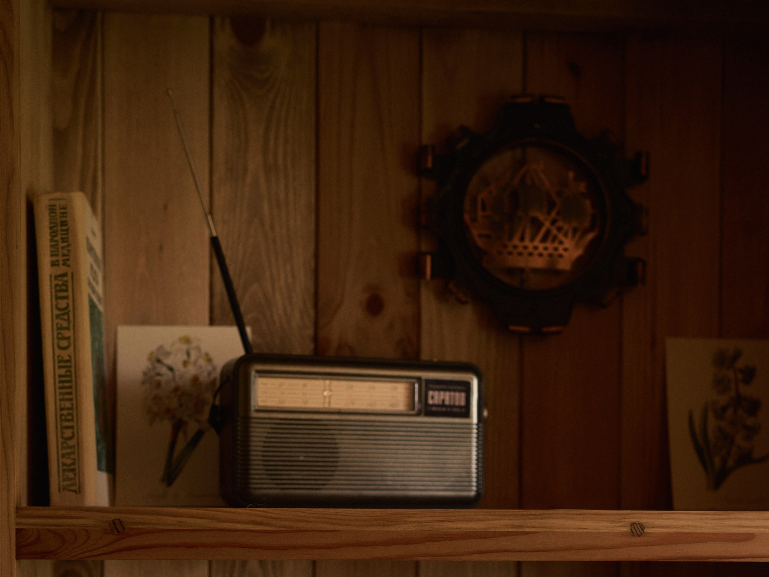 Дачная история в Малиновке. Фотограф Женя Пашкина