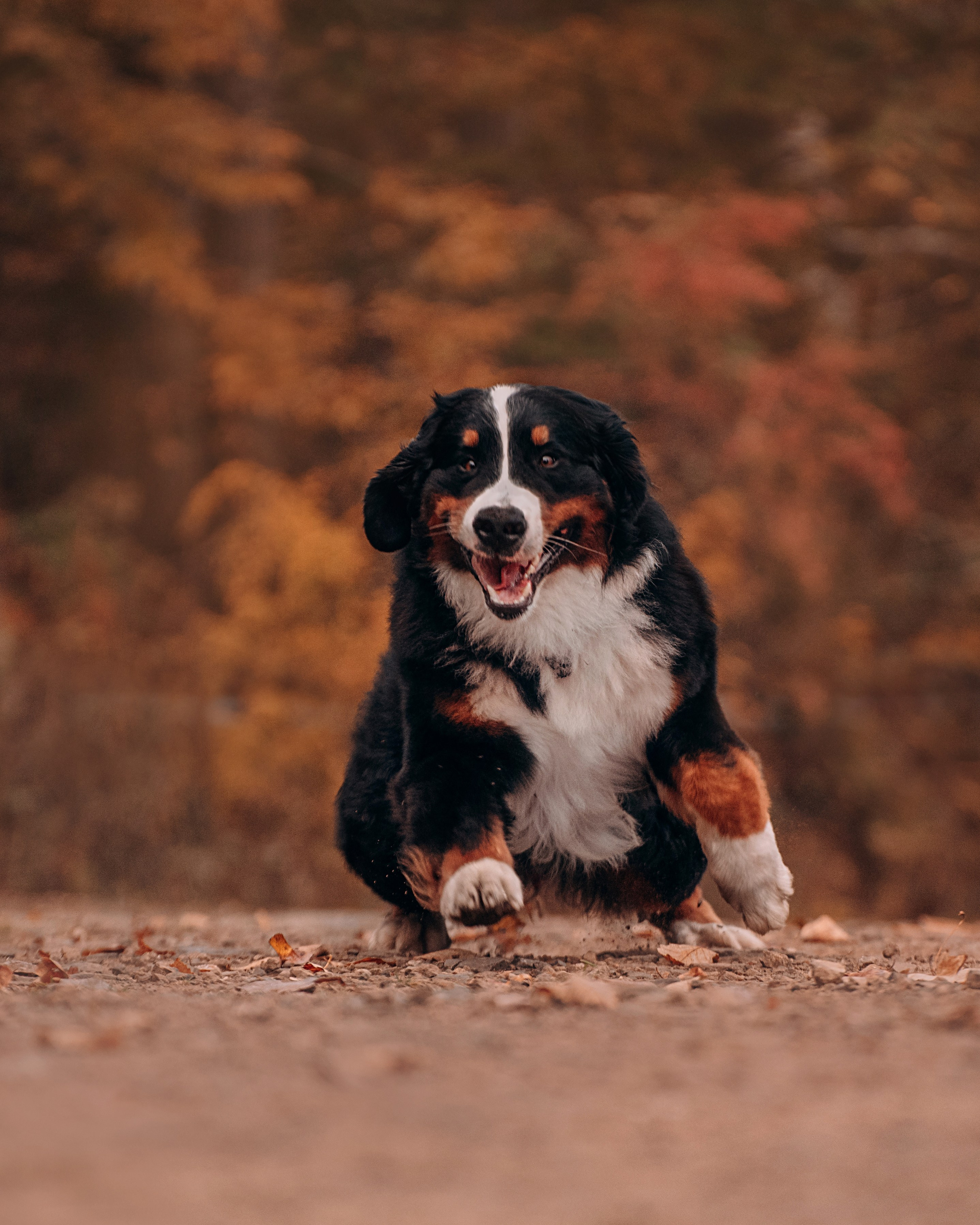 Владивосток: Марс и Маша. Портфолио