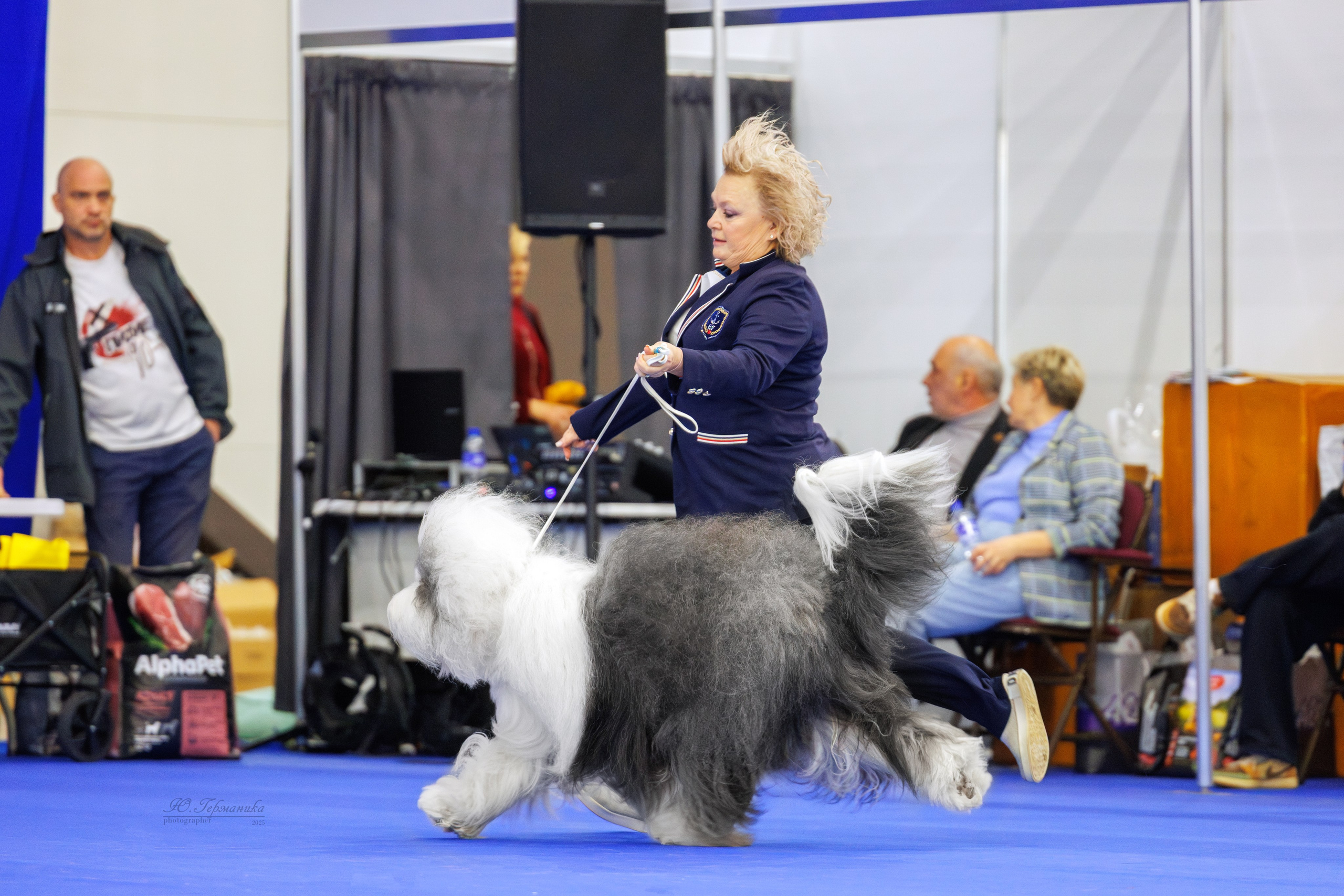 Питер 12-13.12.2025. Фотограф-анималист Юлия Германика