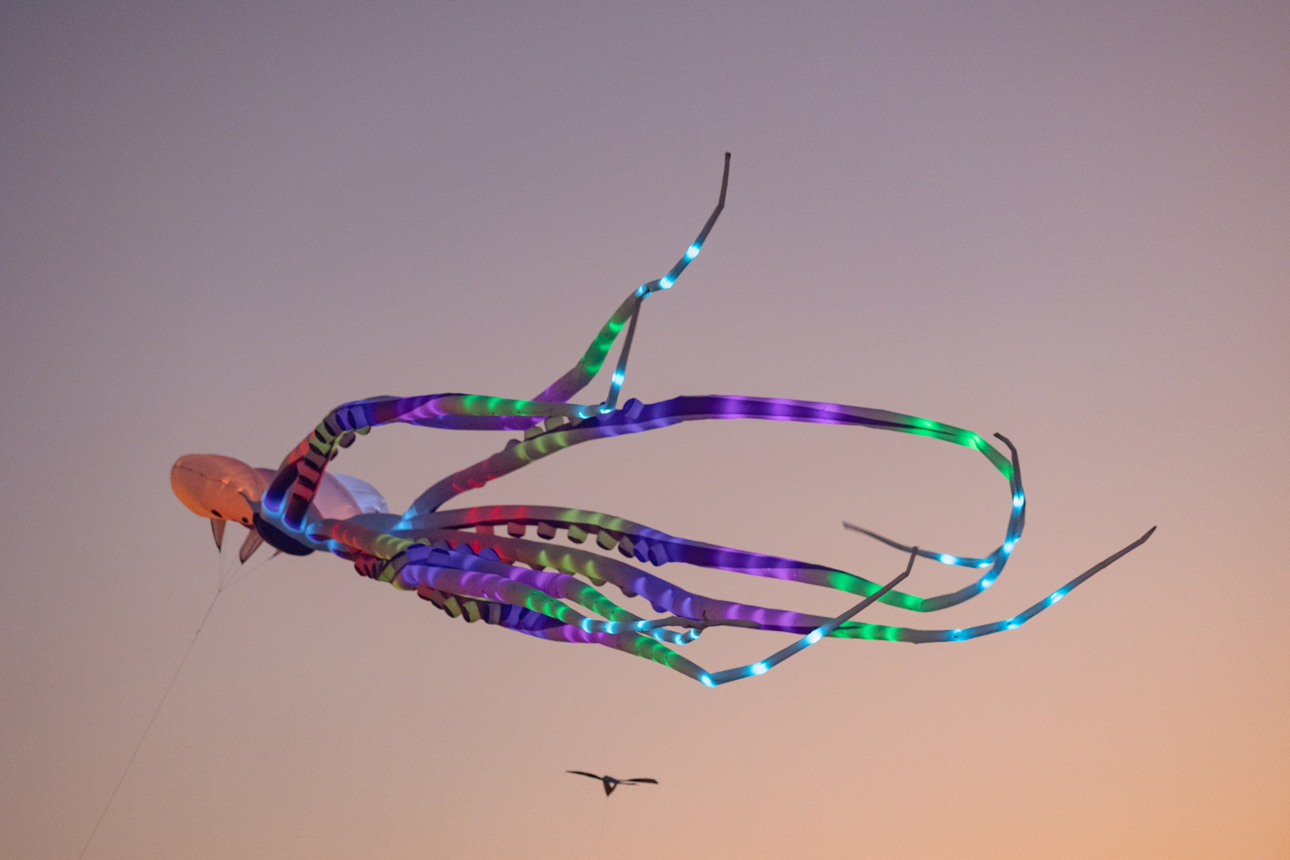PATTAYA INTERNATIONAL KITE ON THE BEACH 2024. Photographer Sonkina Tatiana (Tanya Ash)