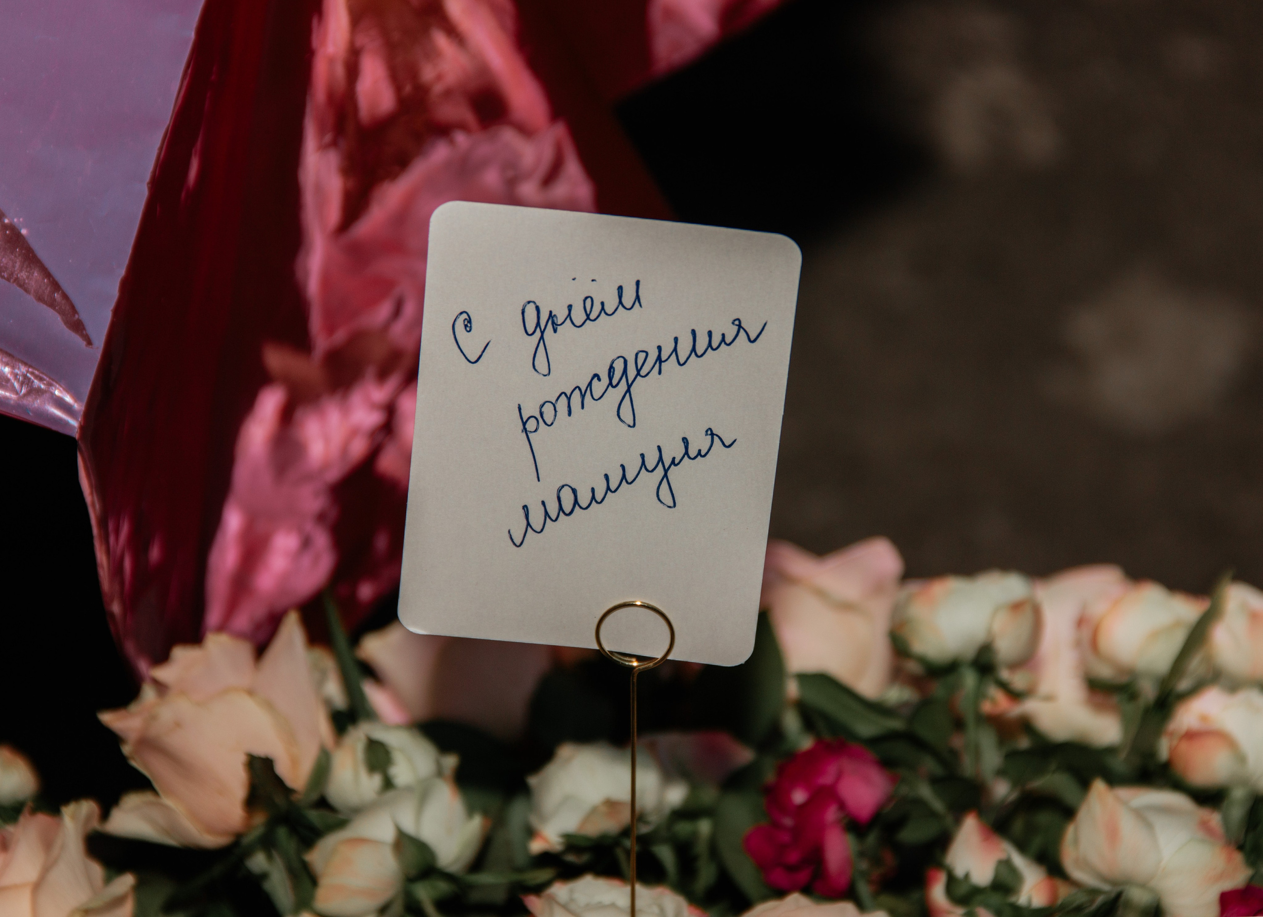 День Рождения. Мария Трут. Фотограф