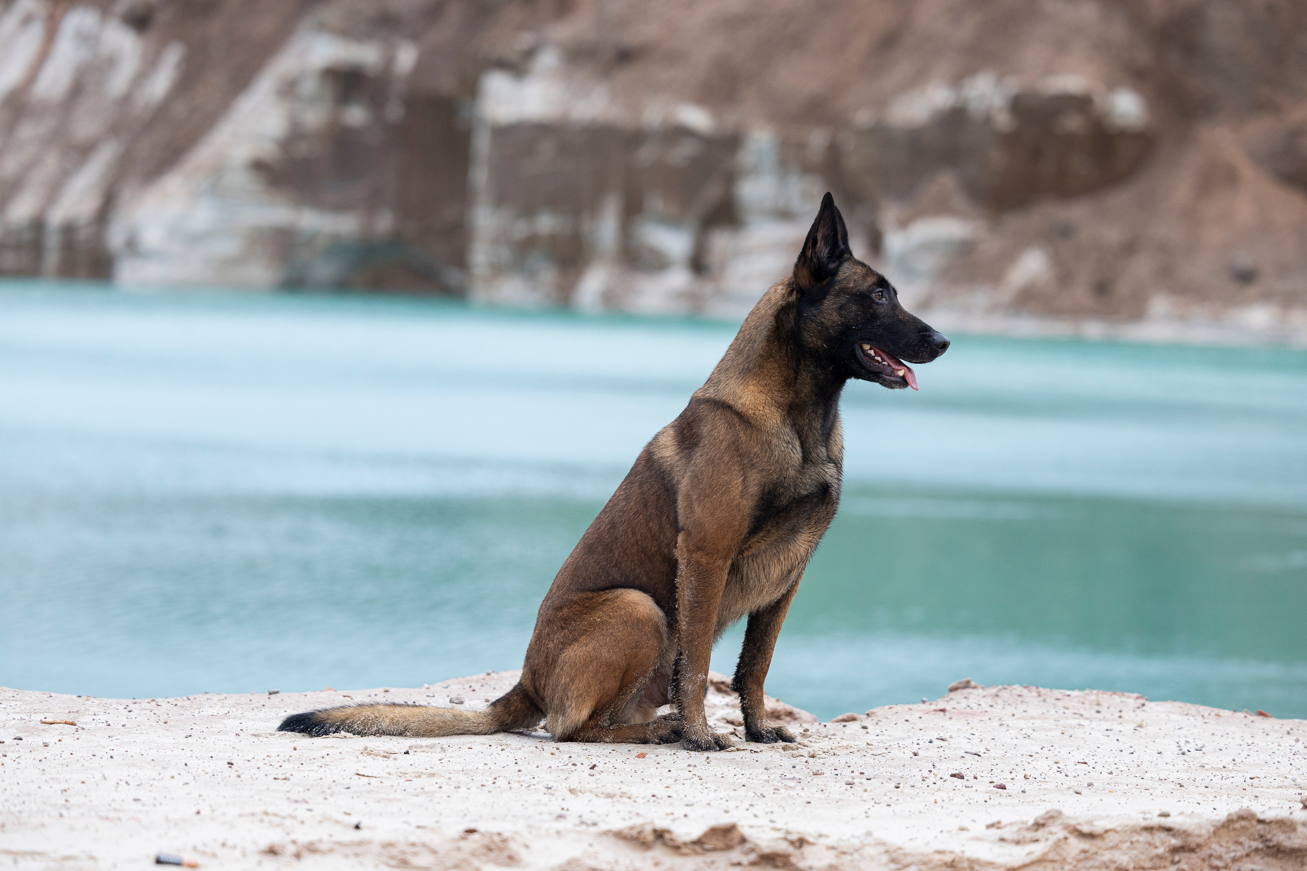 Лужские Мальдивы. Фотограф-анималист Анна Маринич