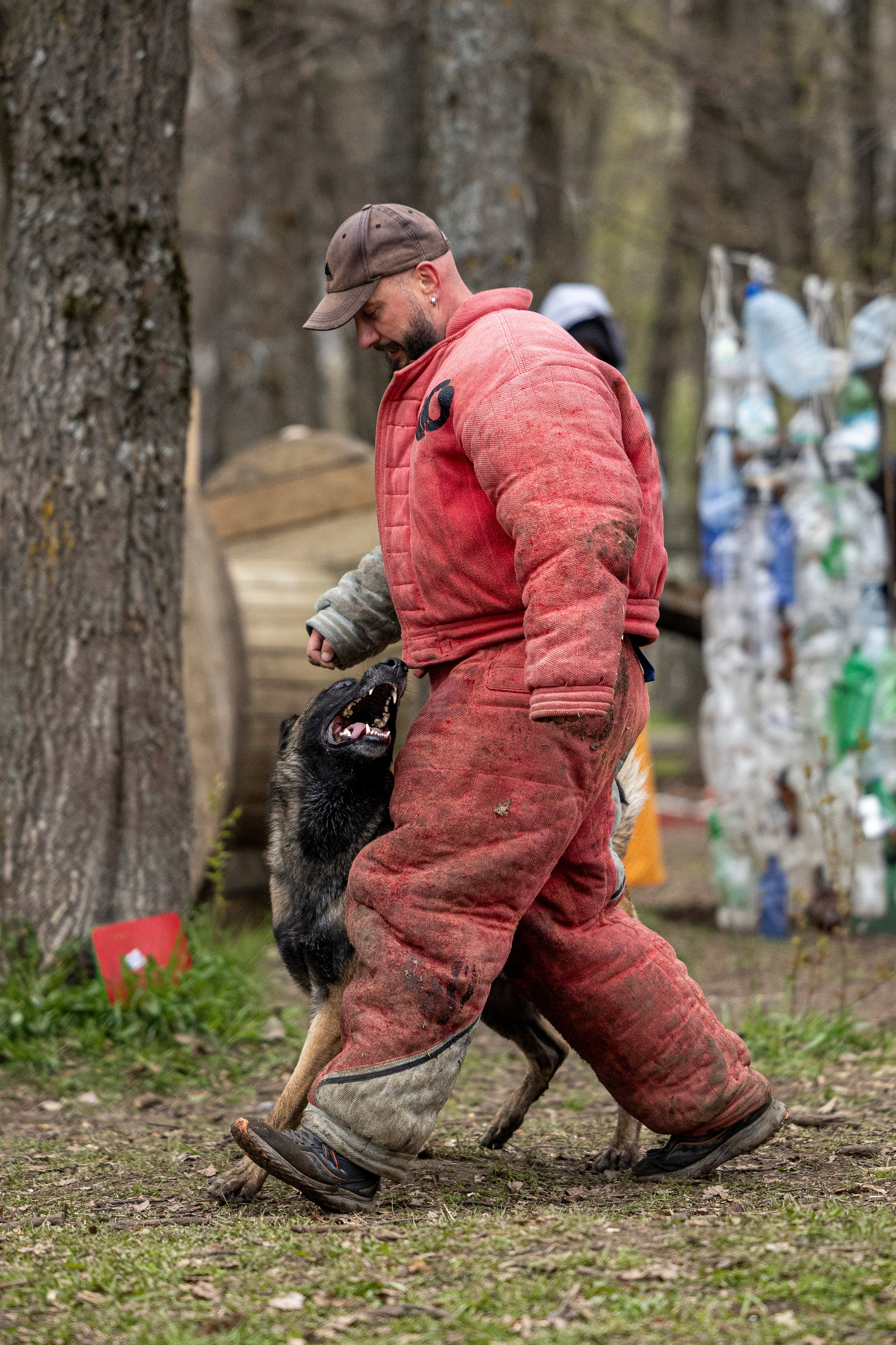 Квалификационные состязания по мондьорингу г. Вологда 11.05.24. Фотограф-анималист Анна Маринич