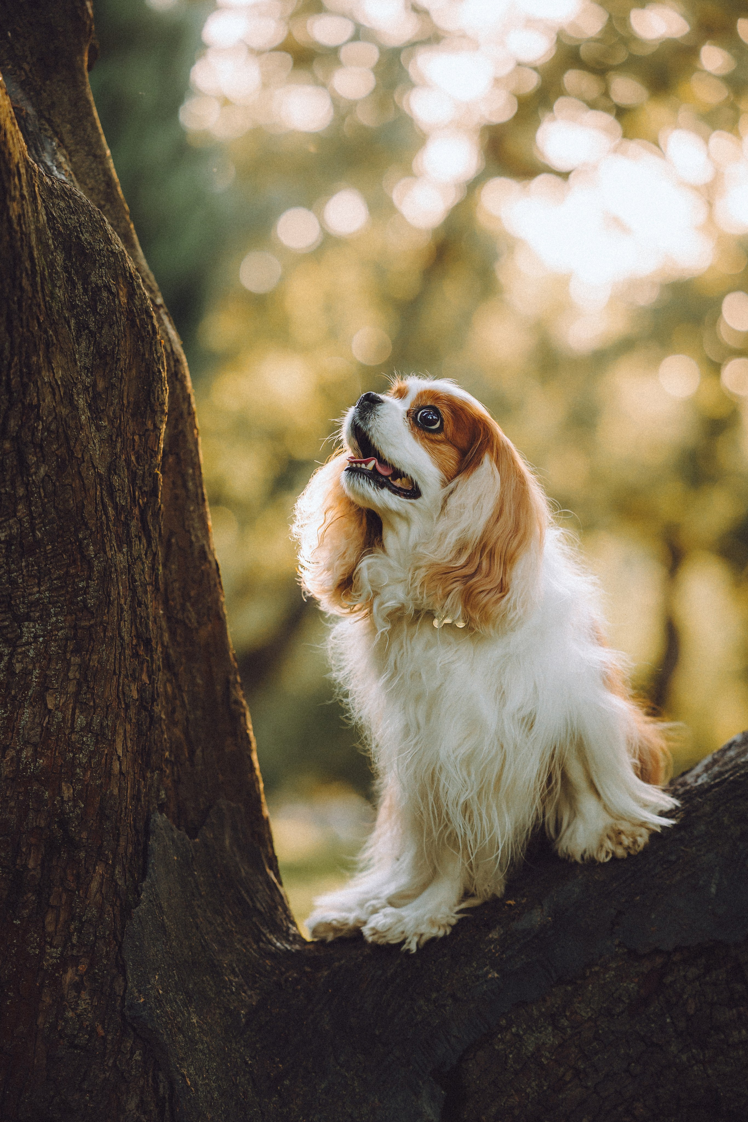 Наташа и Вики