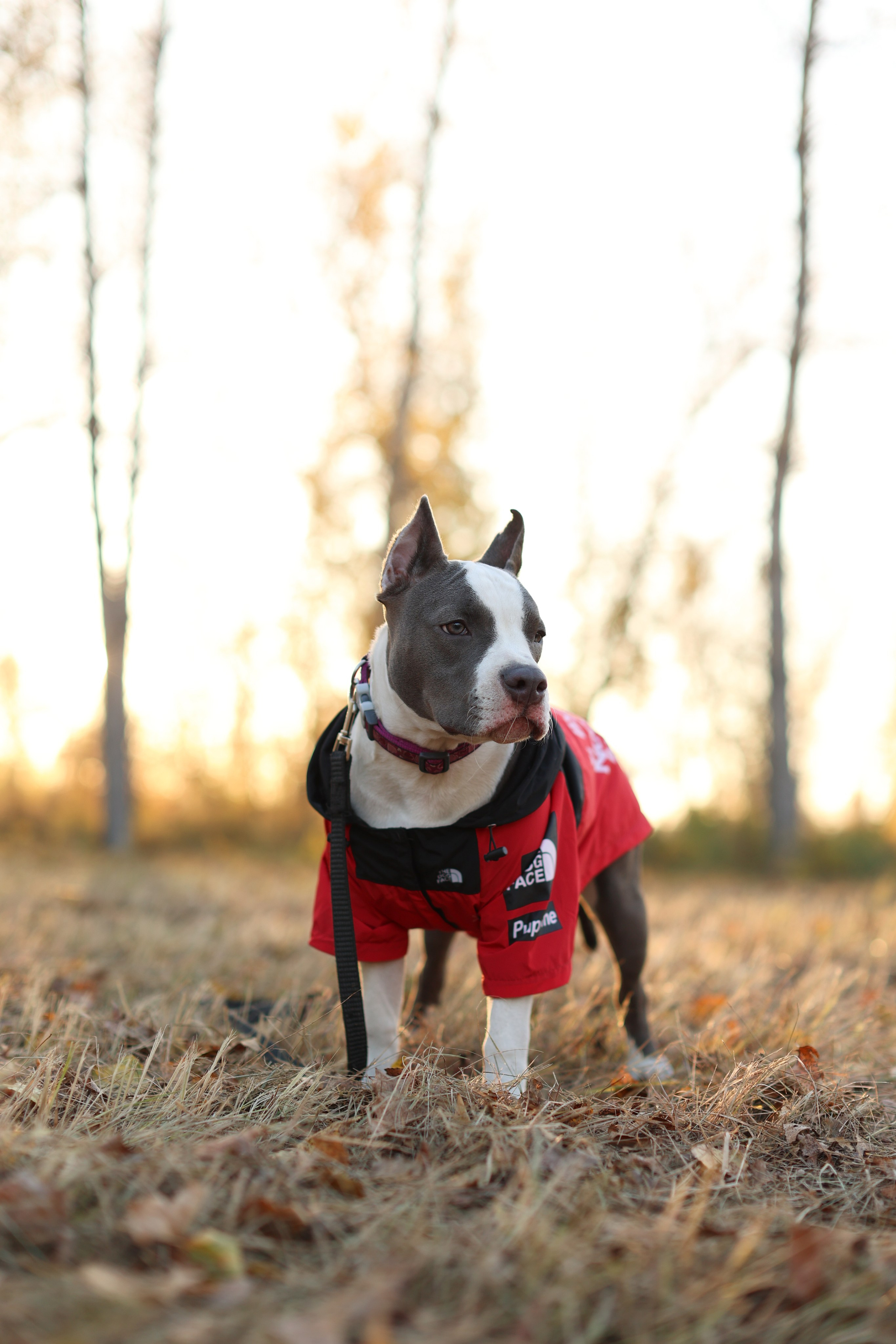 Осень. Art my Pho