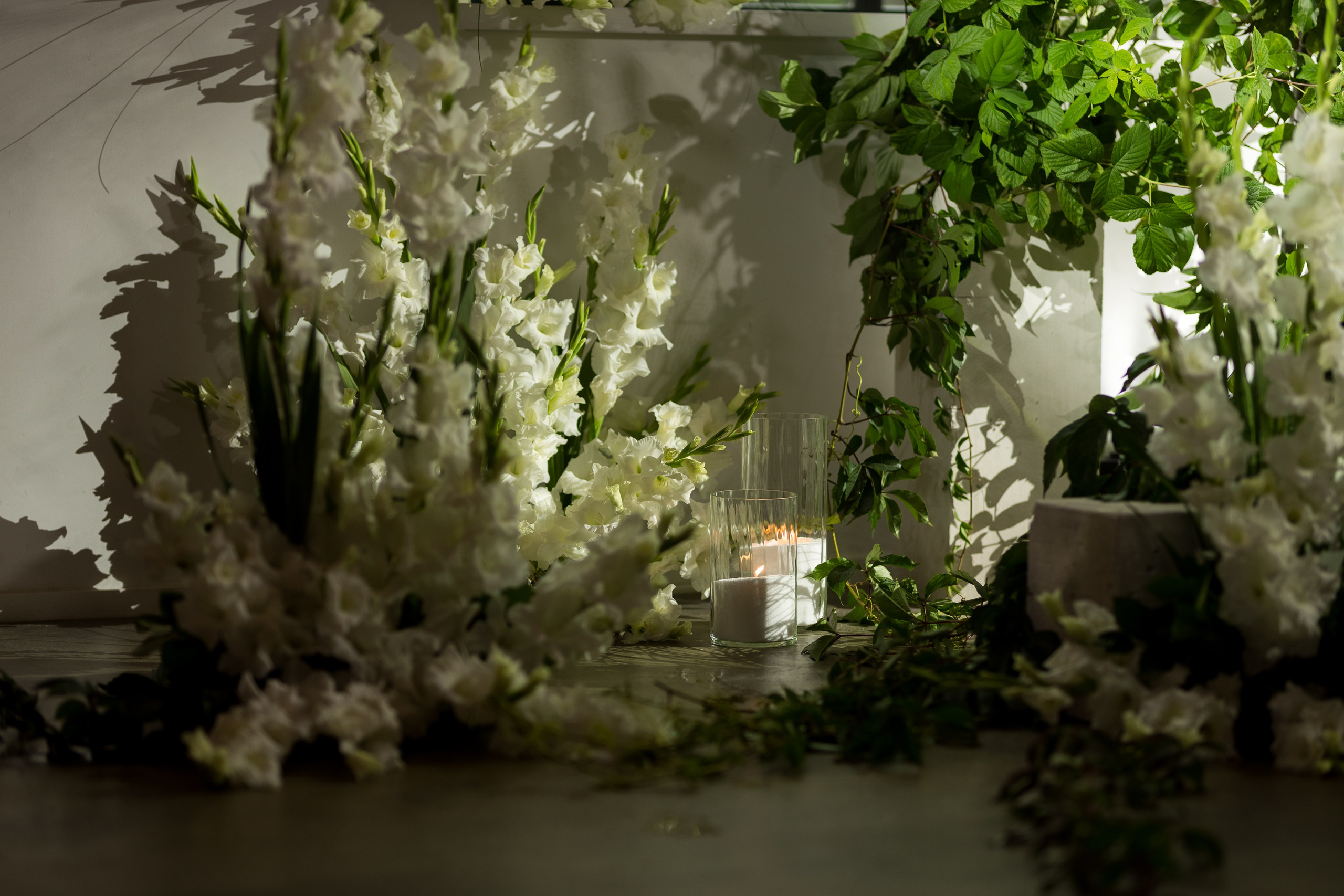 Д&Е. Свадебный фотограф Гомель