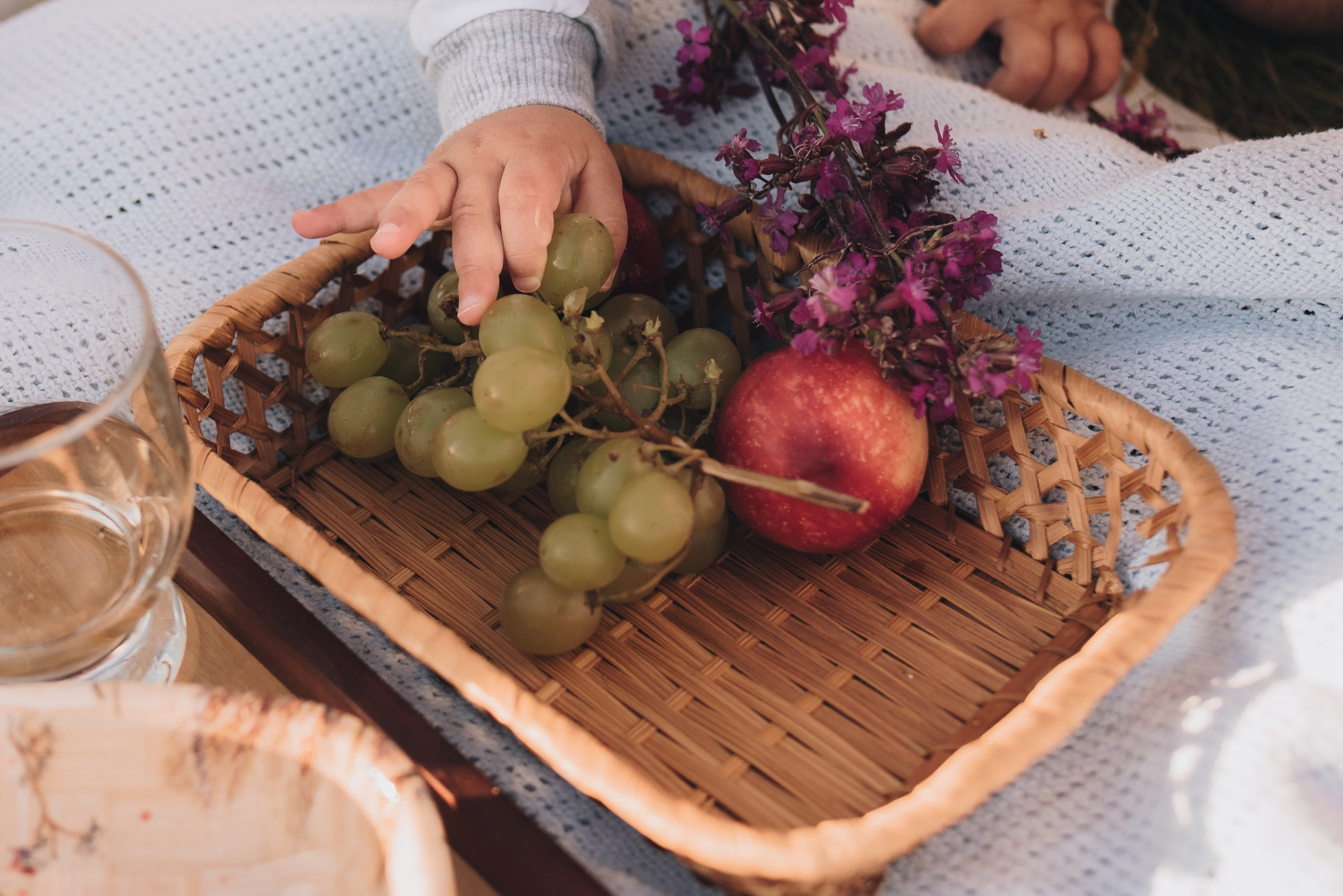 Sveta Pavel Ilia & Milana. Natalia Finch Photography — Family, Kids & Pet Photographer in Chicago, IL