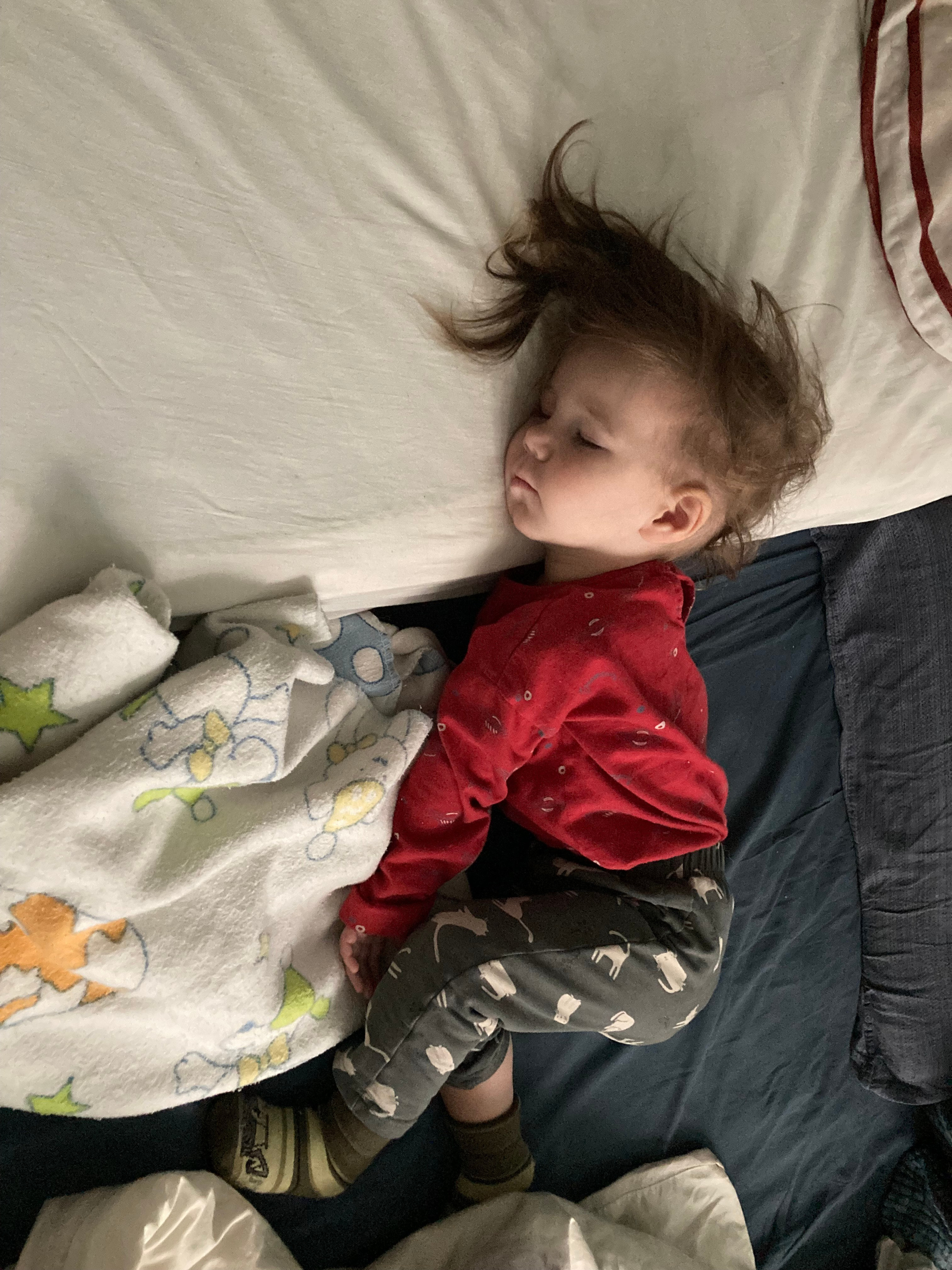 Дети. Смотри, красота!