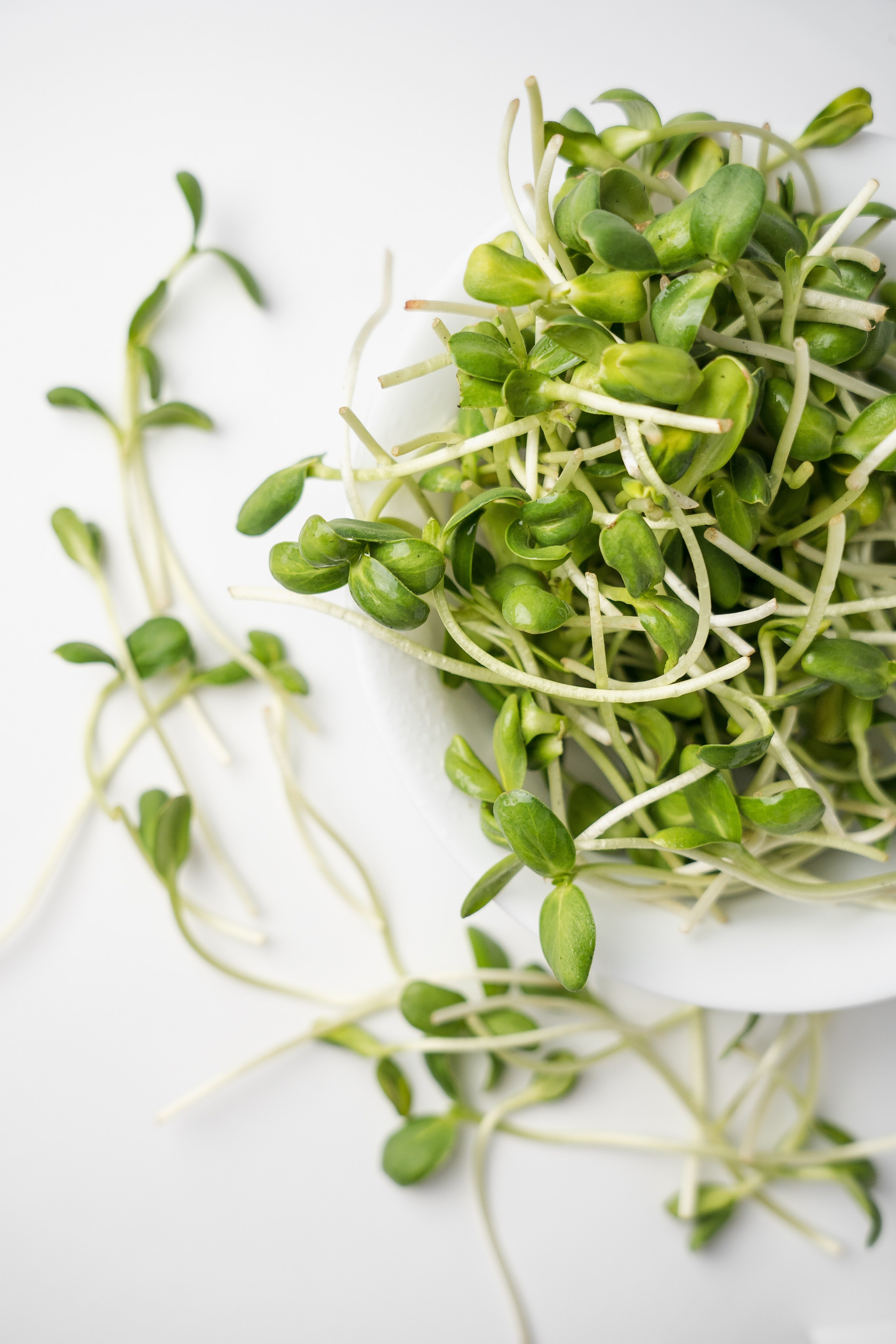 «ЧУДЕСНАЯ ЖИЗНЬ». Фотограф в Москве Казакова Анна