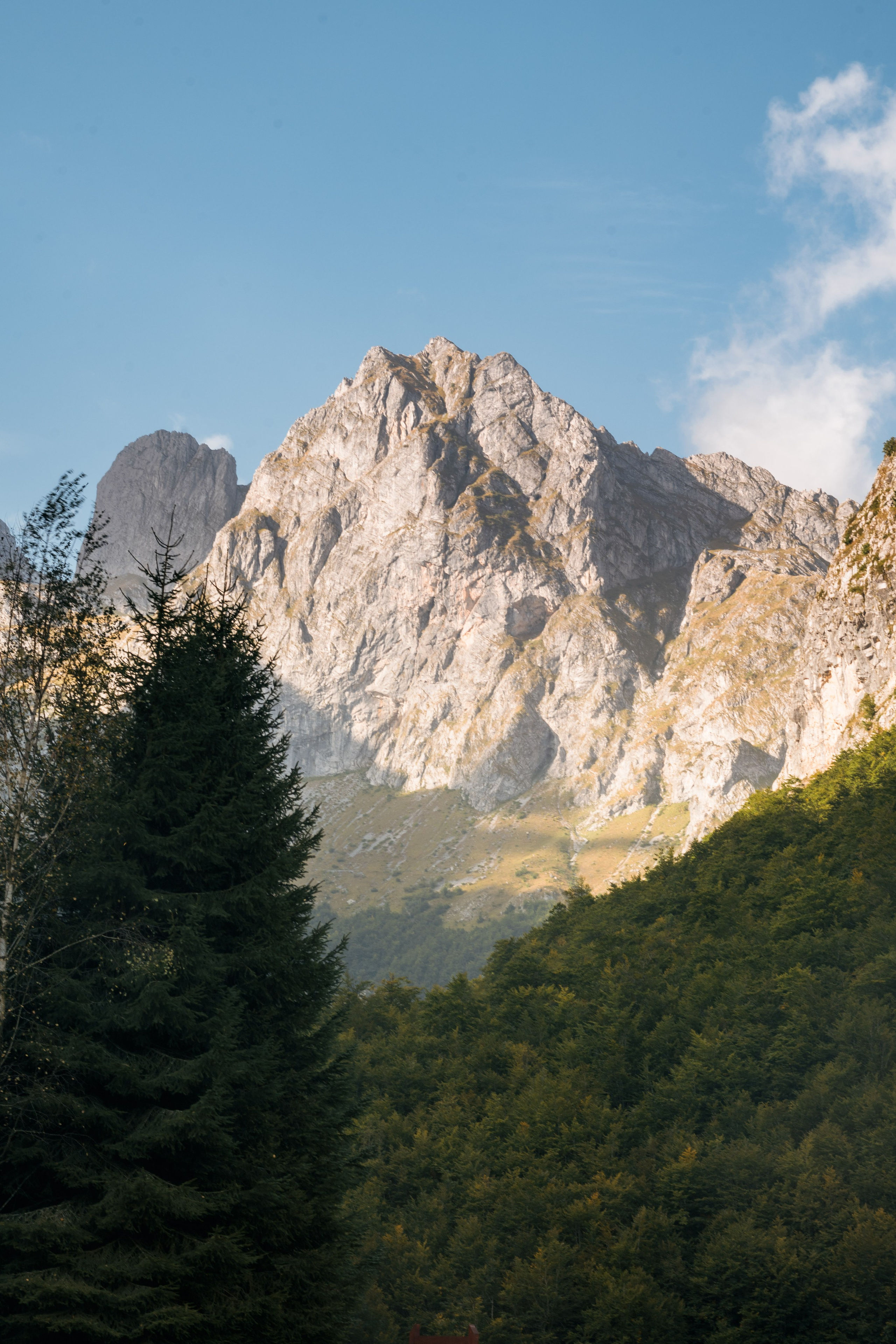 ДОЛИНА ГРЕБАЙЕ. ЧЕРНОГОРИЯ. Фотограф в Белграде Чугреева Елена