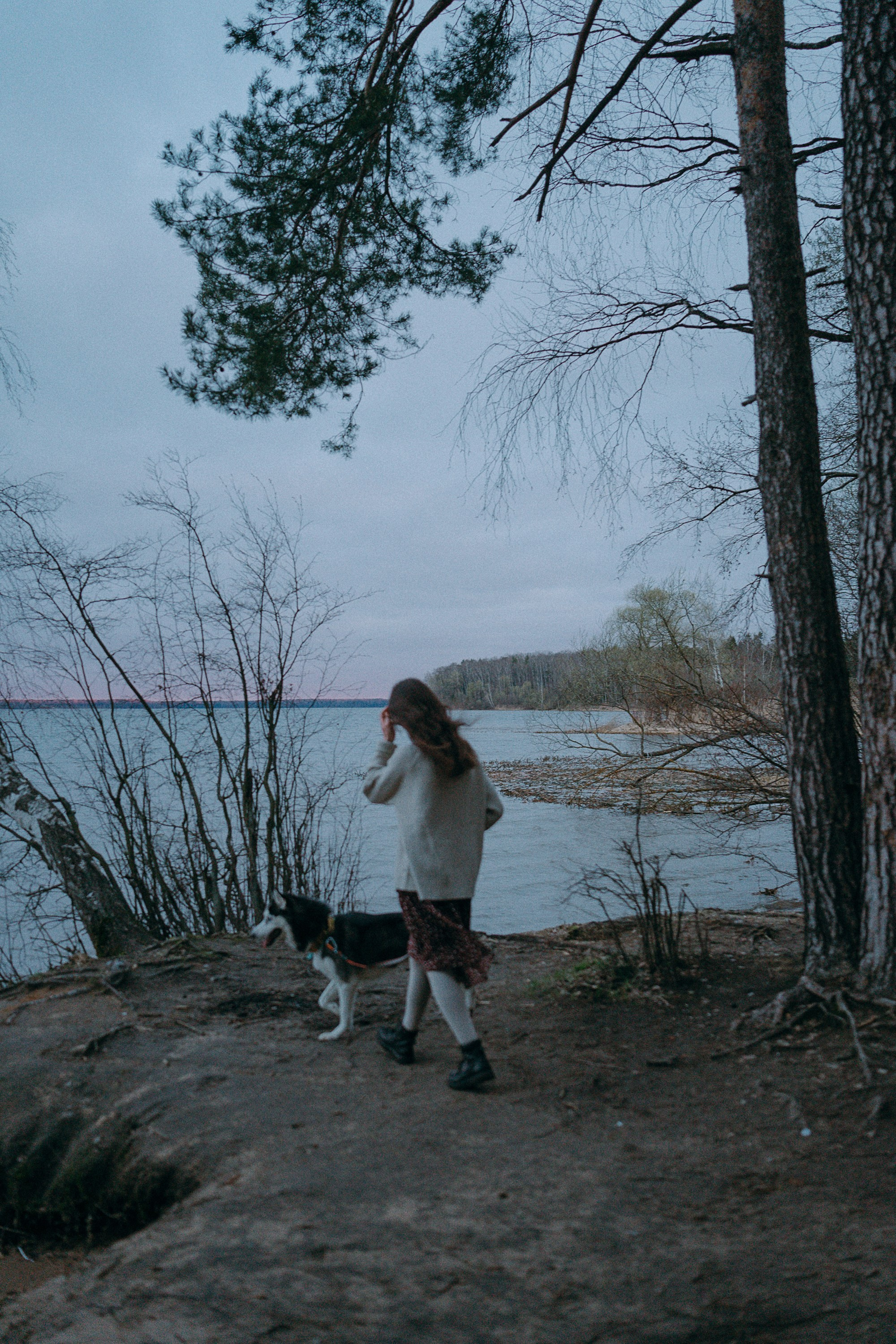 Наташа и Сириус. Фотограф анималист в Москве и Санкт-Петербурге Свиридова Анна