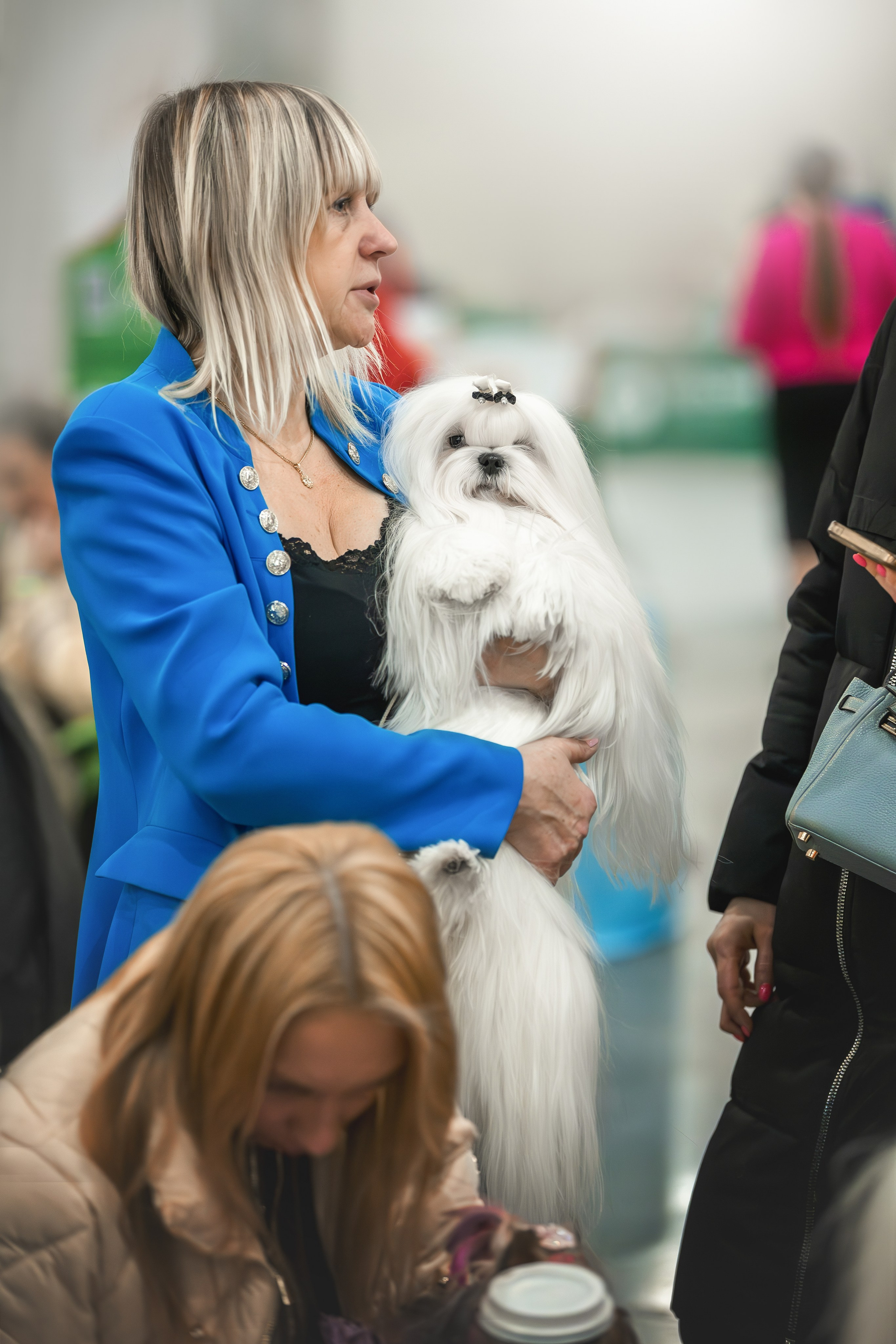 Выставки. Фотограф анималист в Москве Майорова Евгения