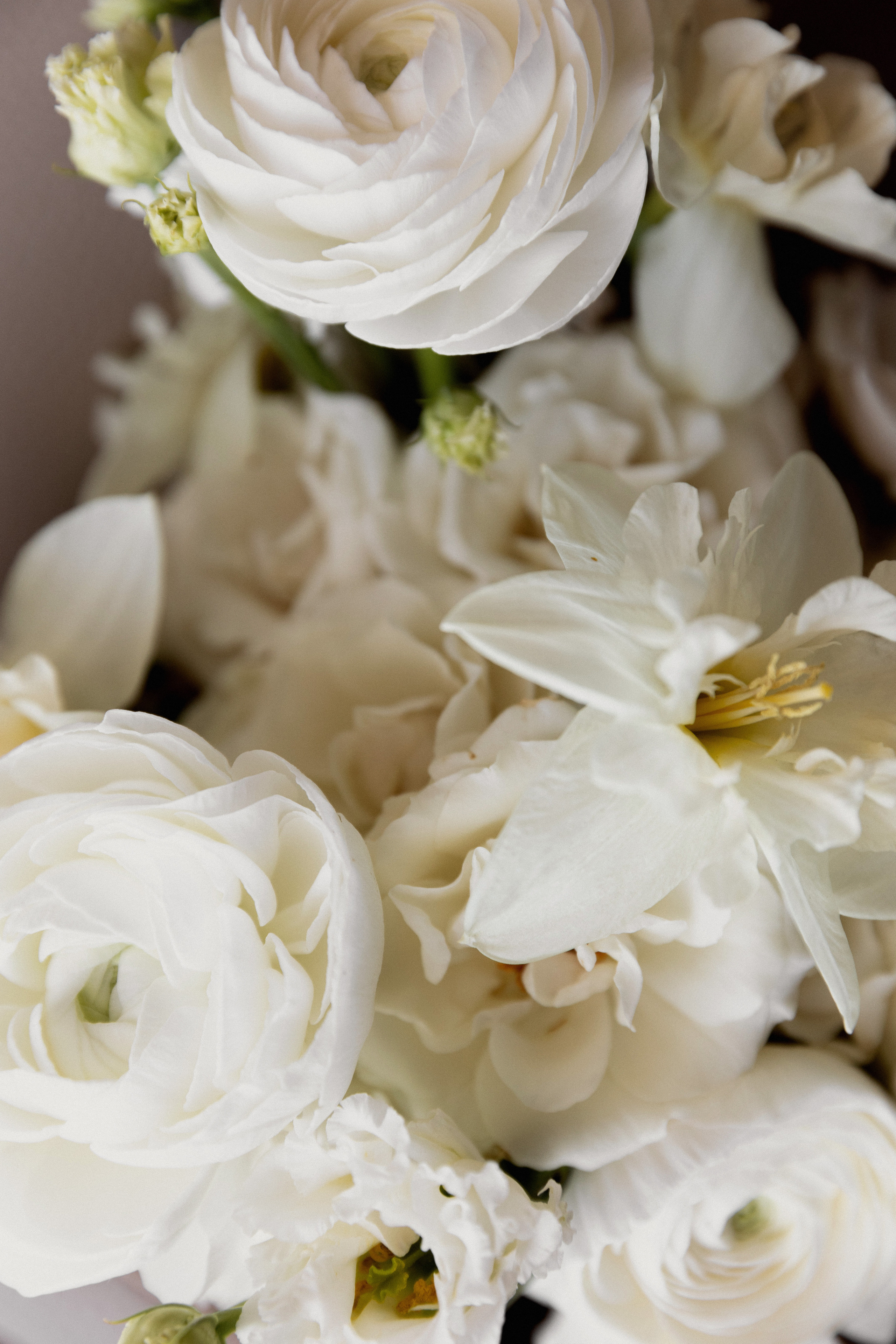 Павел и Лиза. Фотограф Андреева Алёна