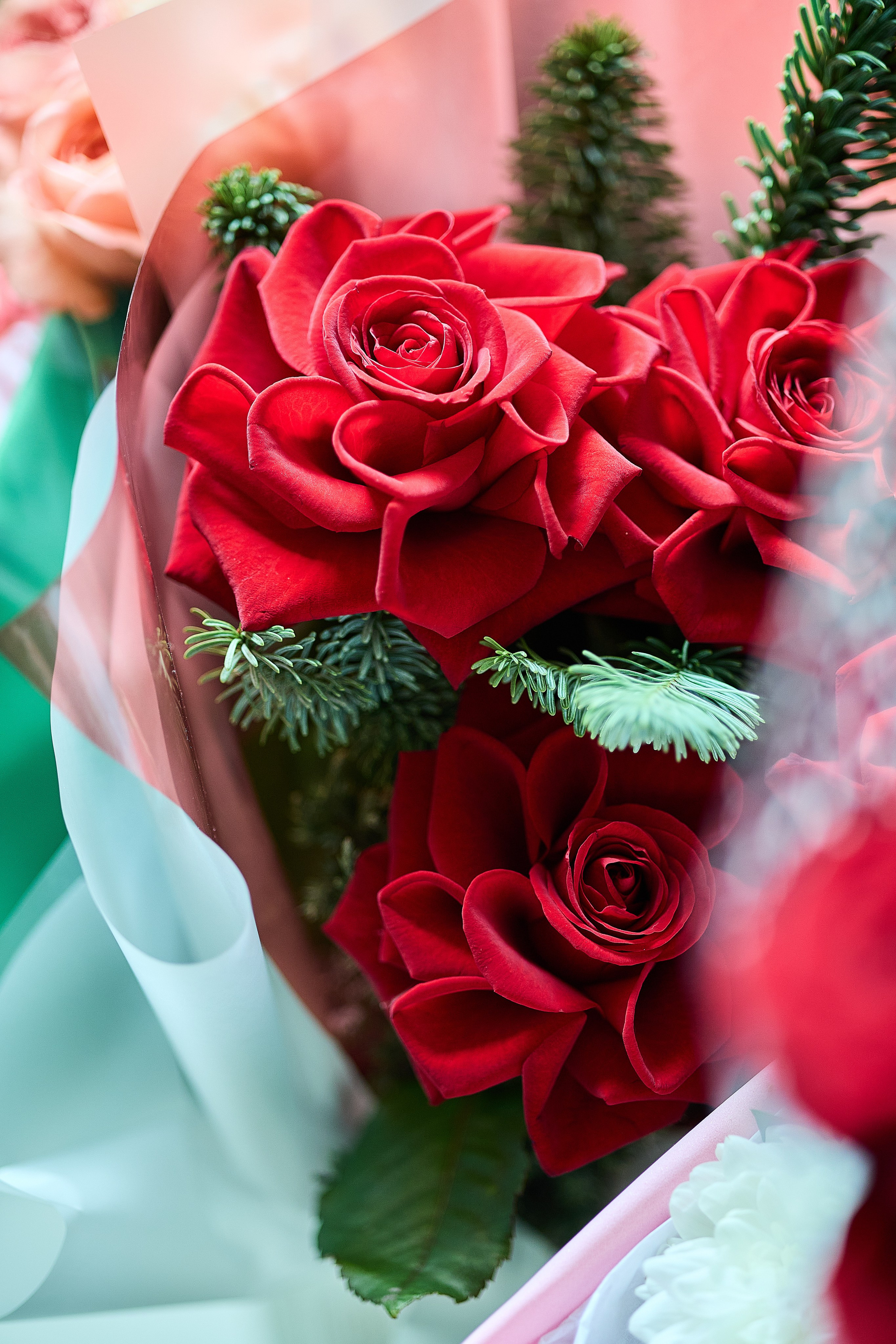 Репортаж с дня рождения. Фотограф Эдуард Леньков. Ростов-на-Дону