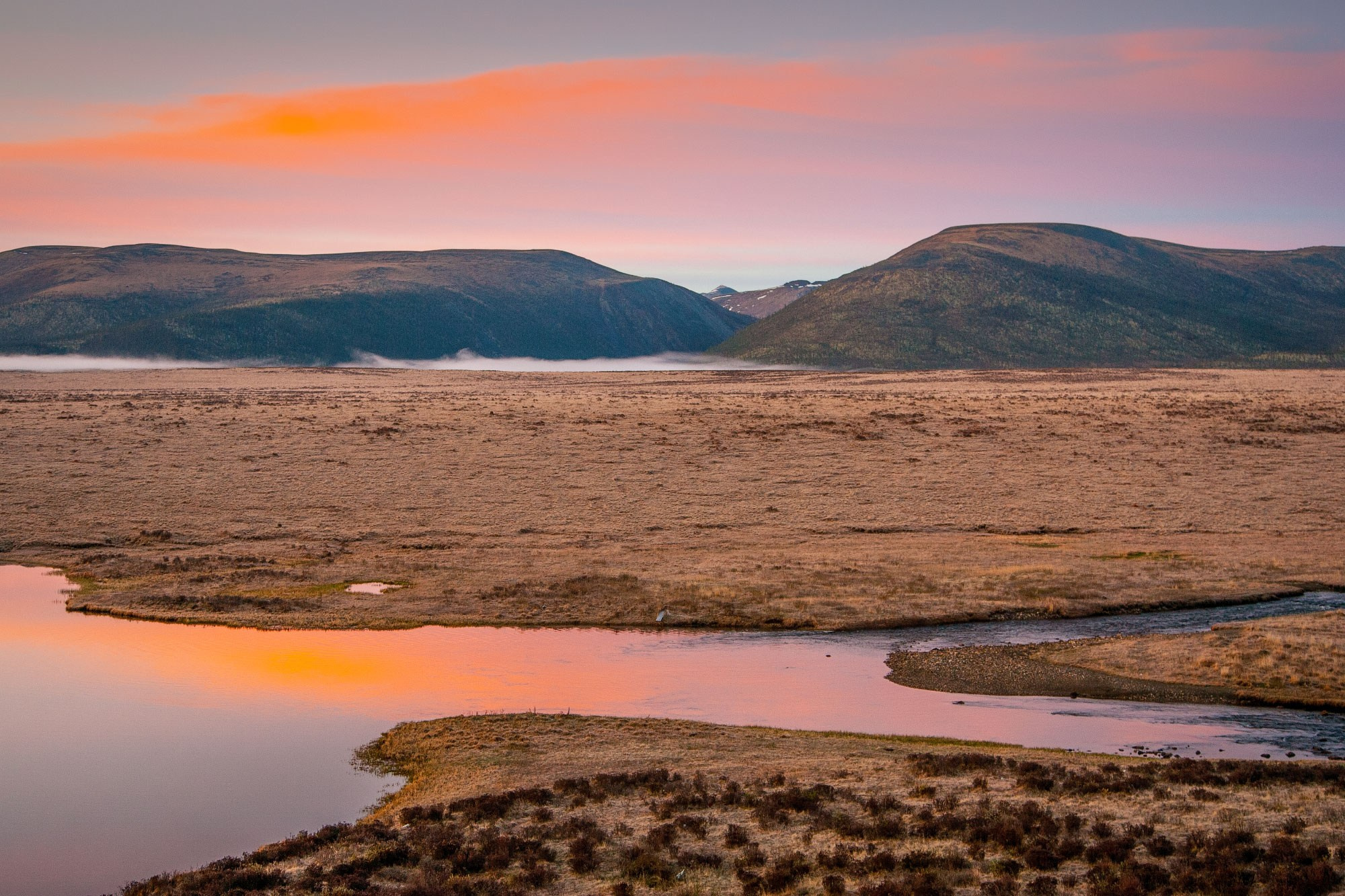 Свадебный фотограф в Геленджике