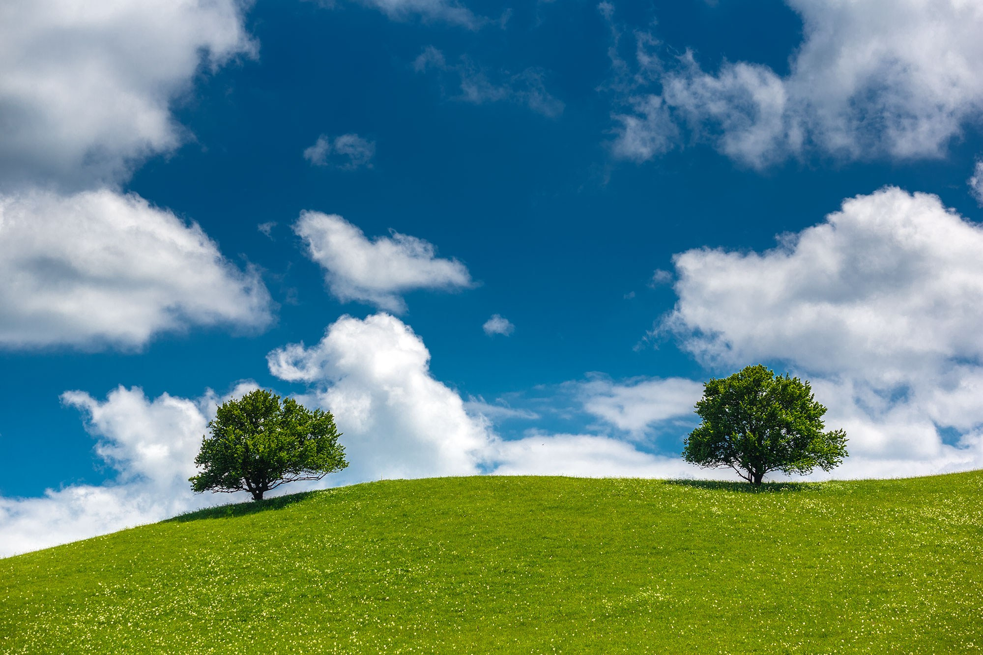 Природа — разное