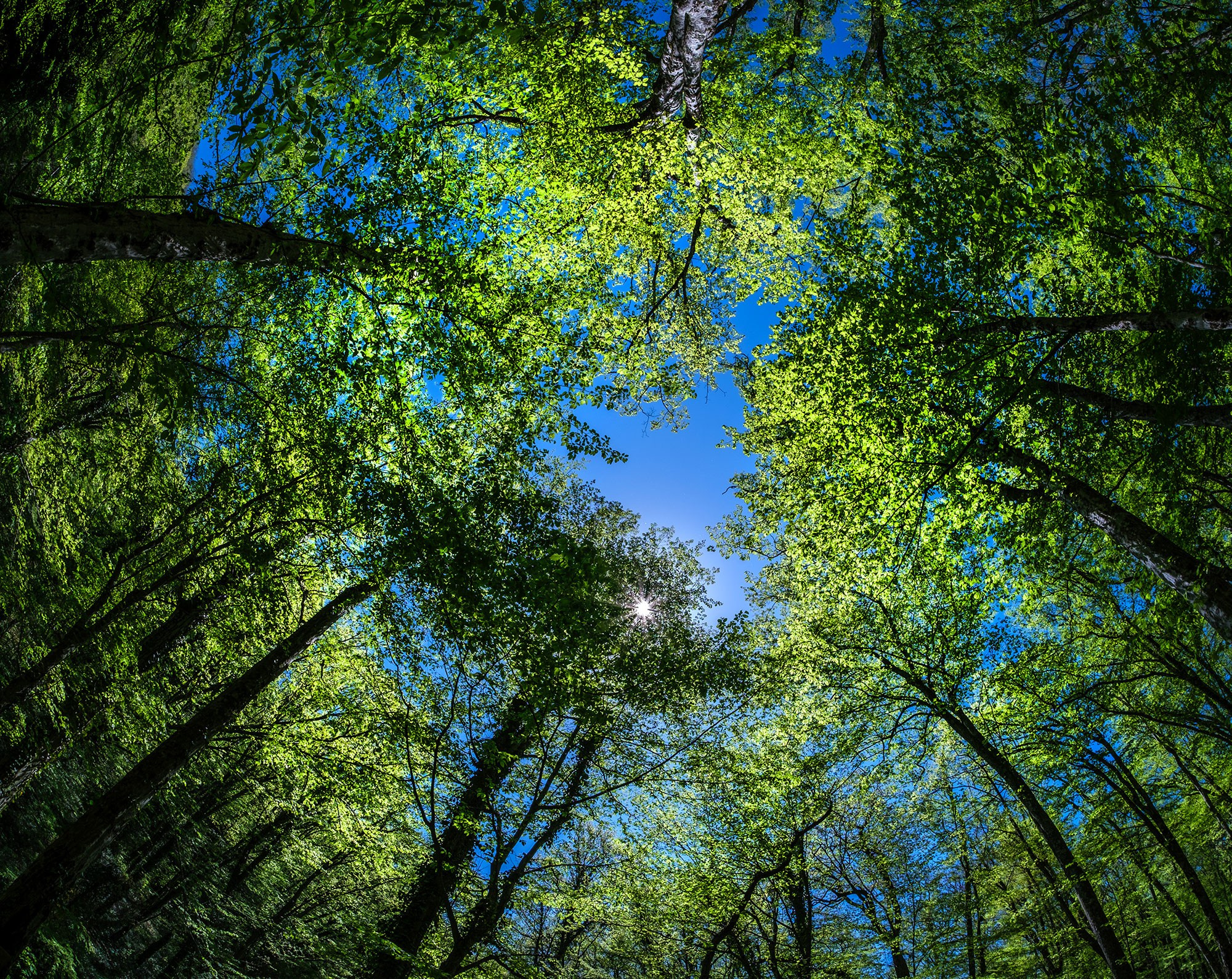 Свадебный фотограф в Геленджике