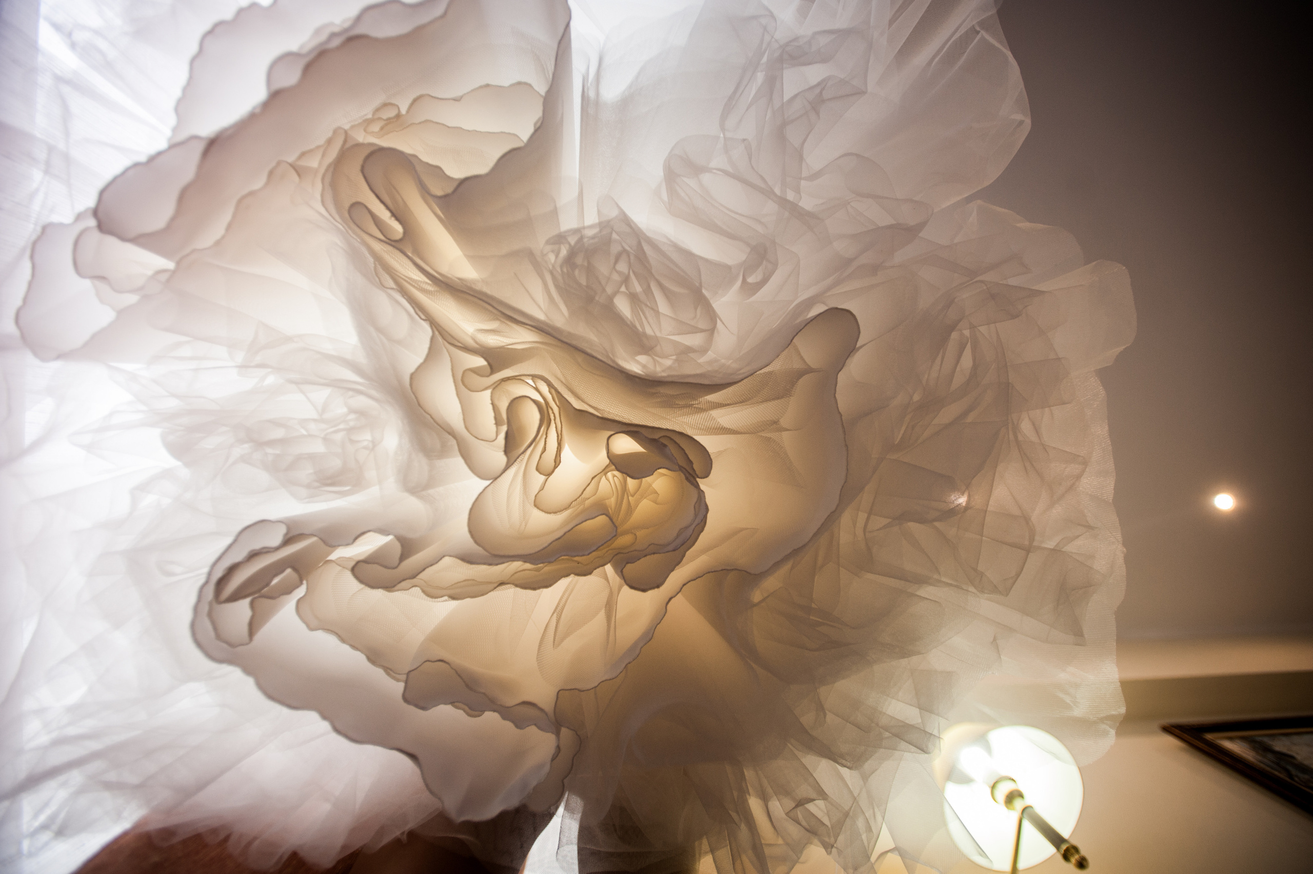 Фотограф на свадьбу. Фотограф Алла Елисеева