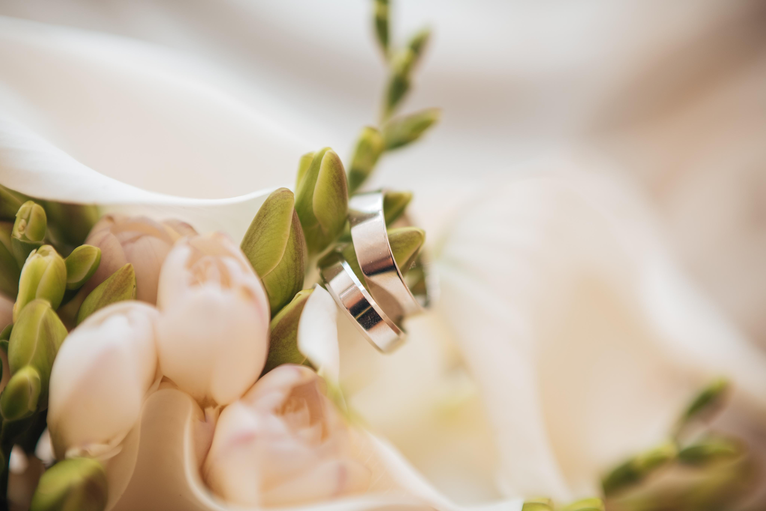 Алена. Фотограф Алла Елисеева