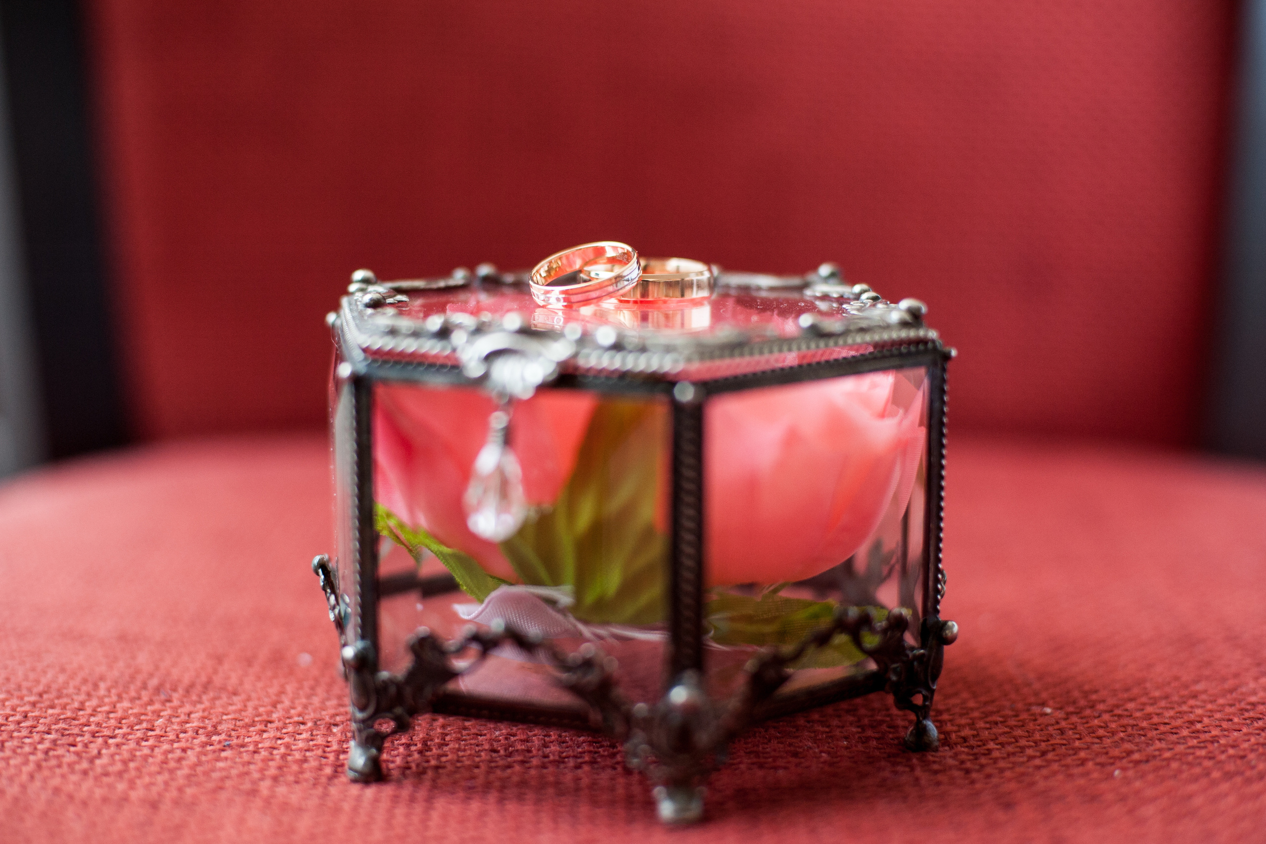 Фотограф на свадьбу. Фотограф Алла Елисеева