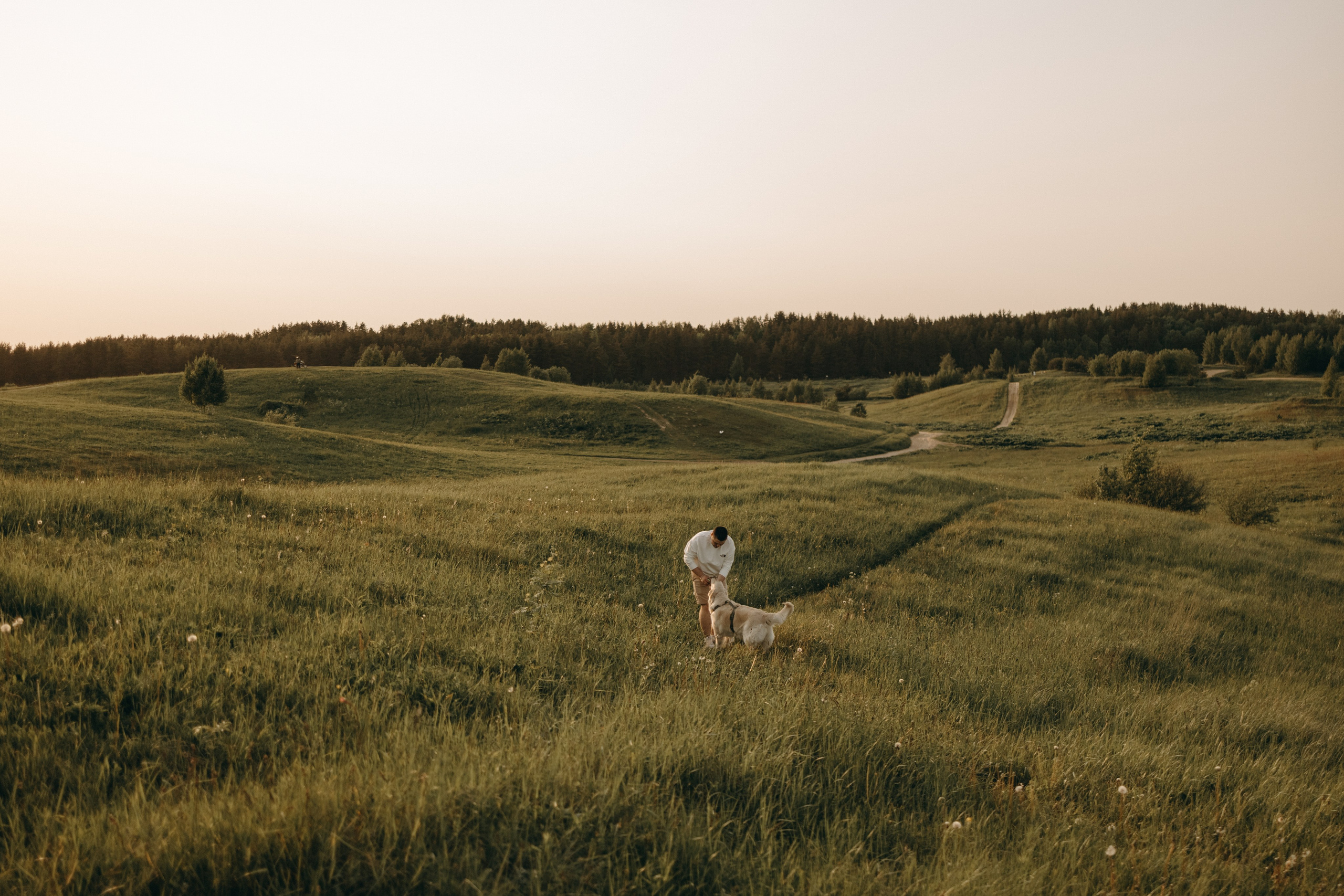 Милка и ребята. Фотограф — Анималист | Санкт-Петербург