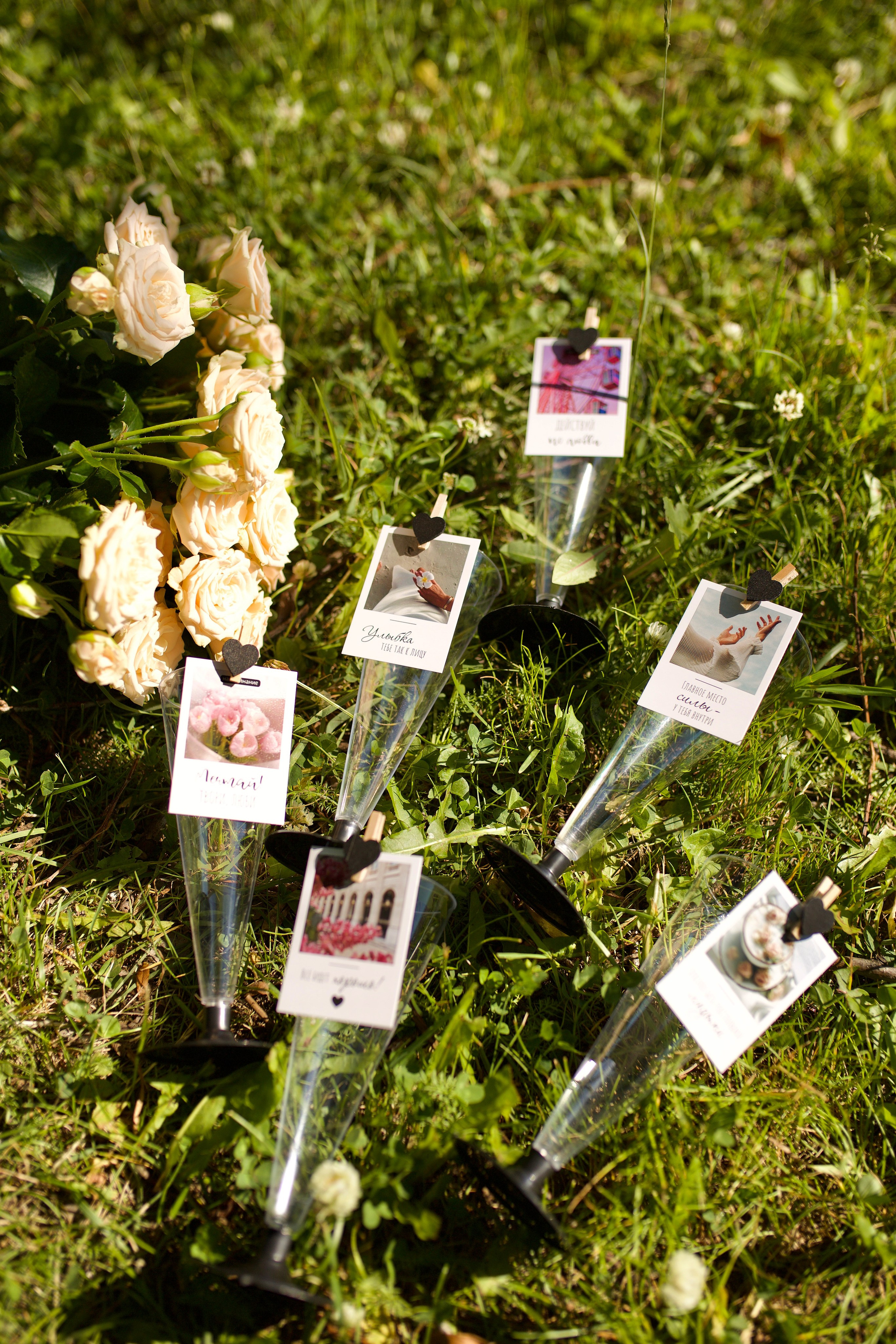 Групповая съемка. Контент- фотограф Вероника Терская Санкт-Петербург