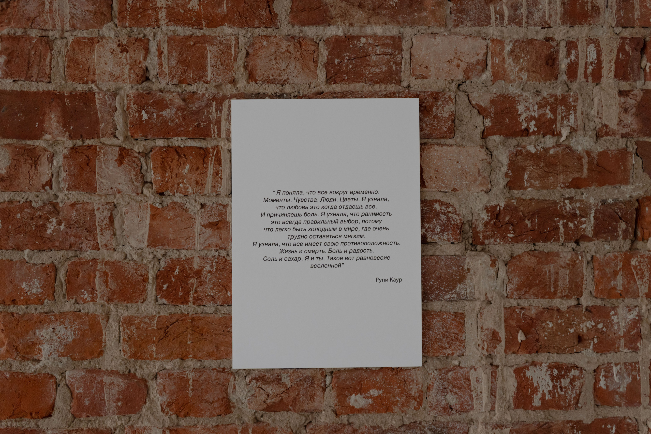 Экспозиция «Бина» Вероники Рудневой-Рязанцевой. Юля Мурашова портретный и документальный фотограф