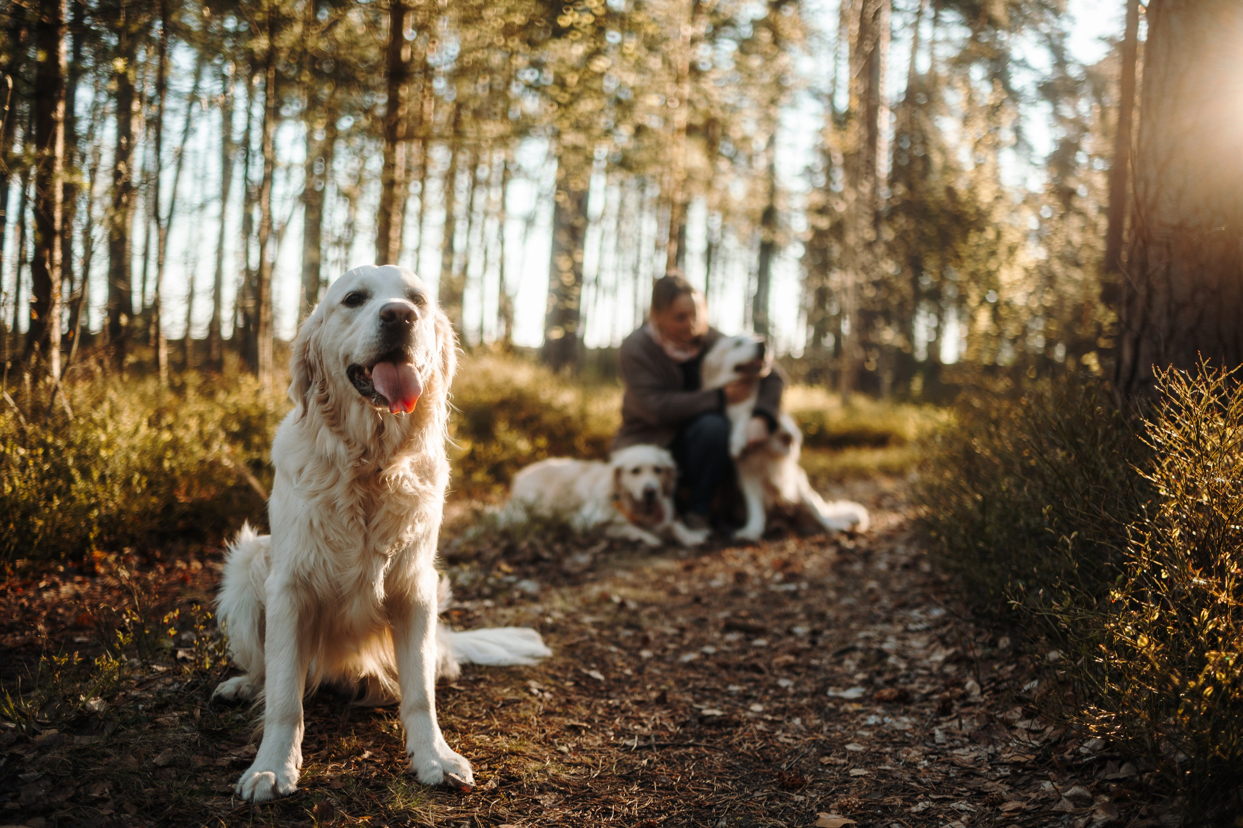 Катя и ее девочки. Фотограф — Анималист | Санкт-Петербург