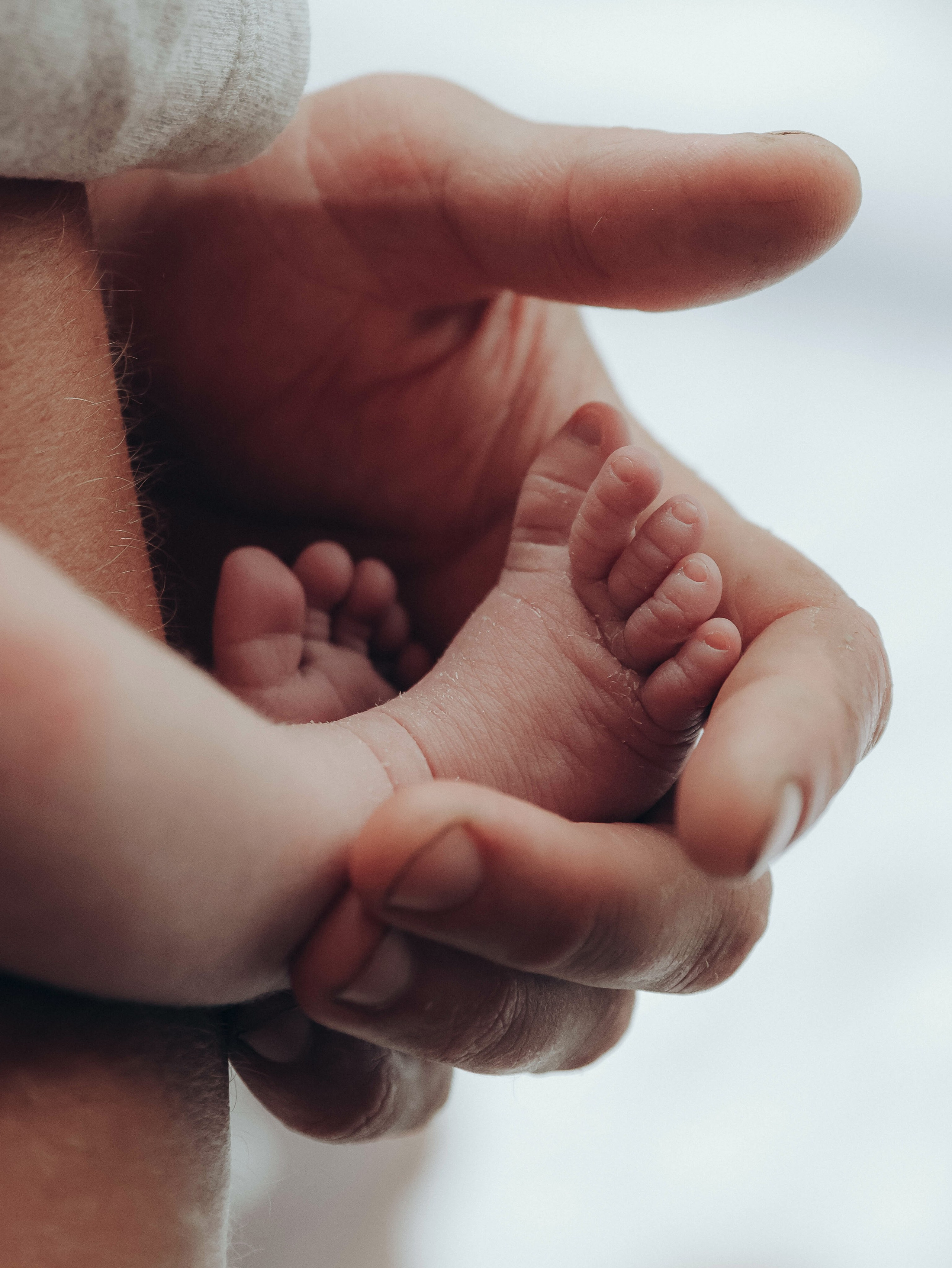 Любовь и котики. Мультифотограф Динара Ахмедзянова