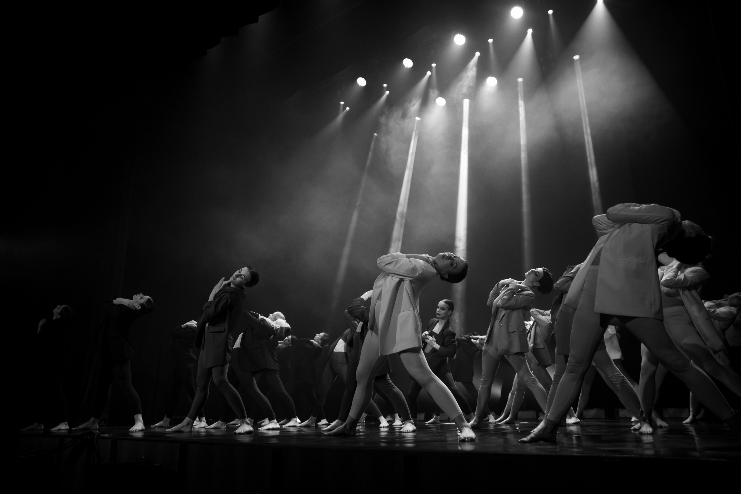 Фламинго | VNЕфокуса