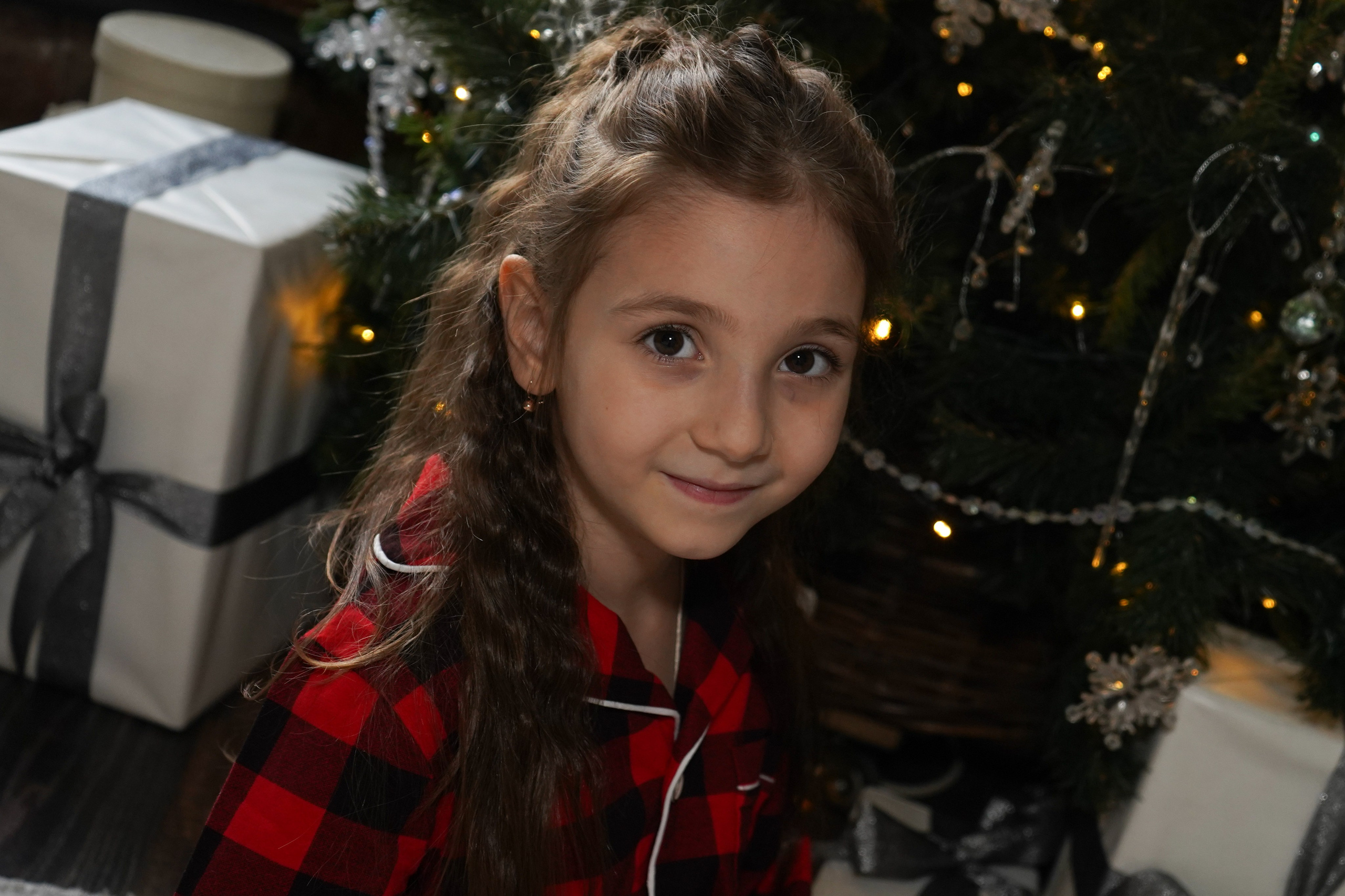 Новогодняя фотосессия. Главная