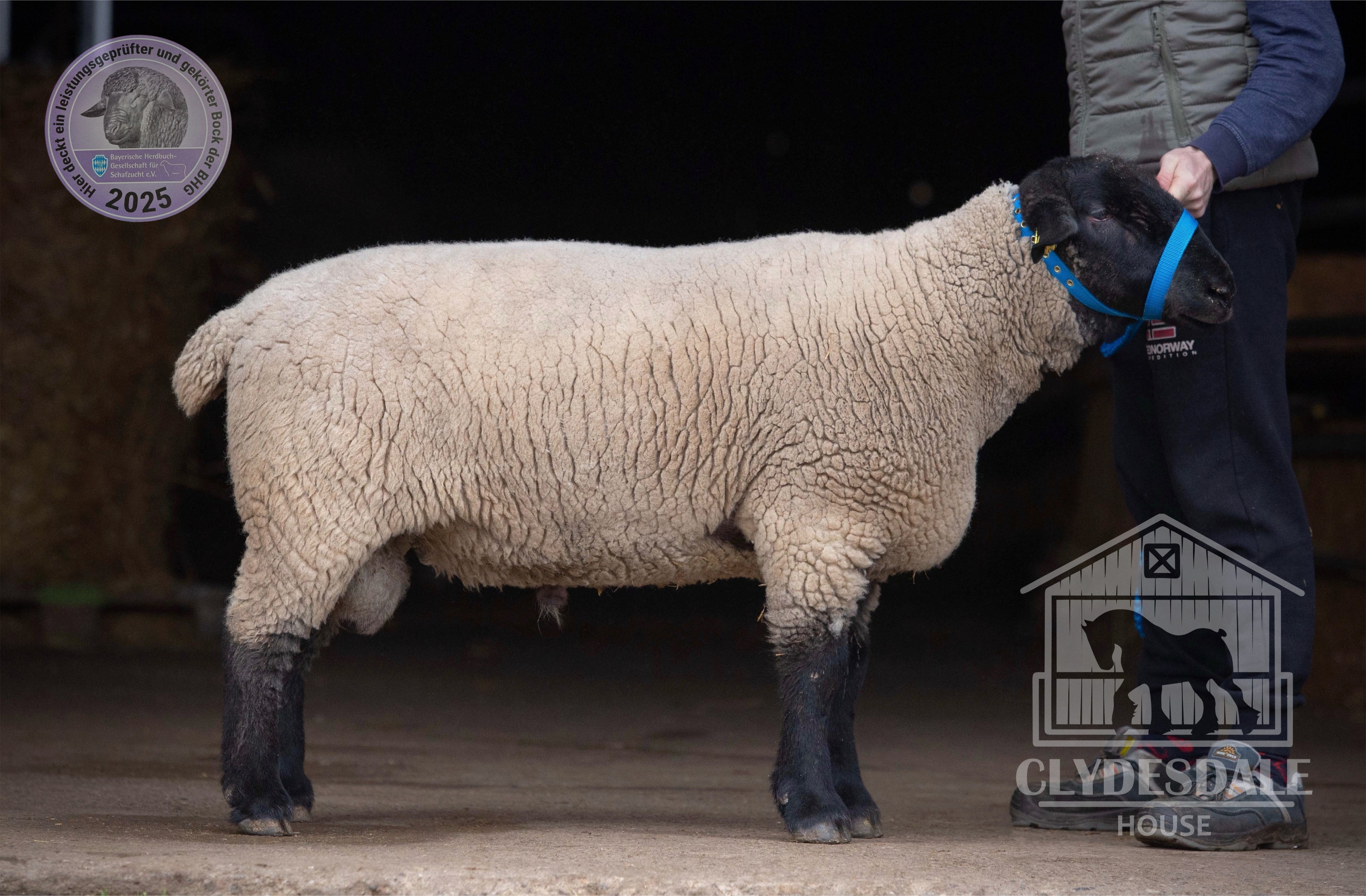 SUFFOLK. CLYDESDALE HOUSE