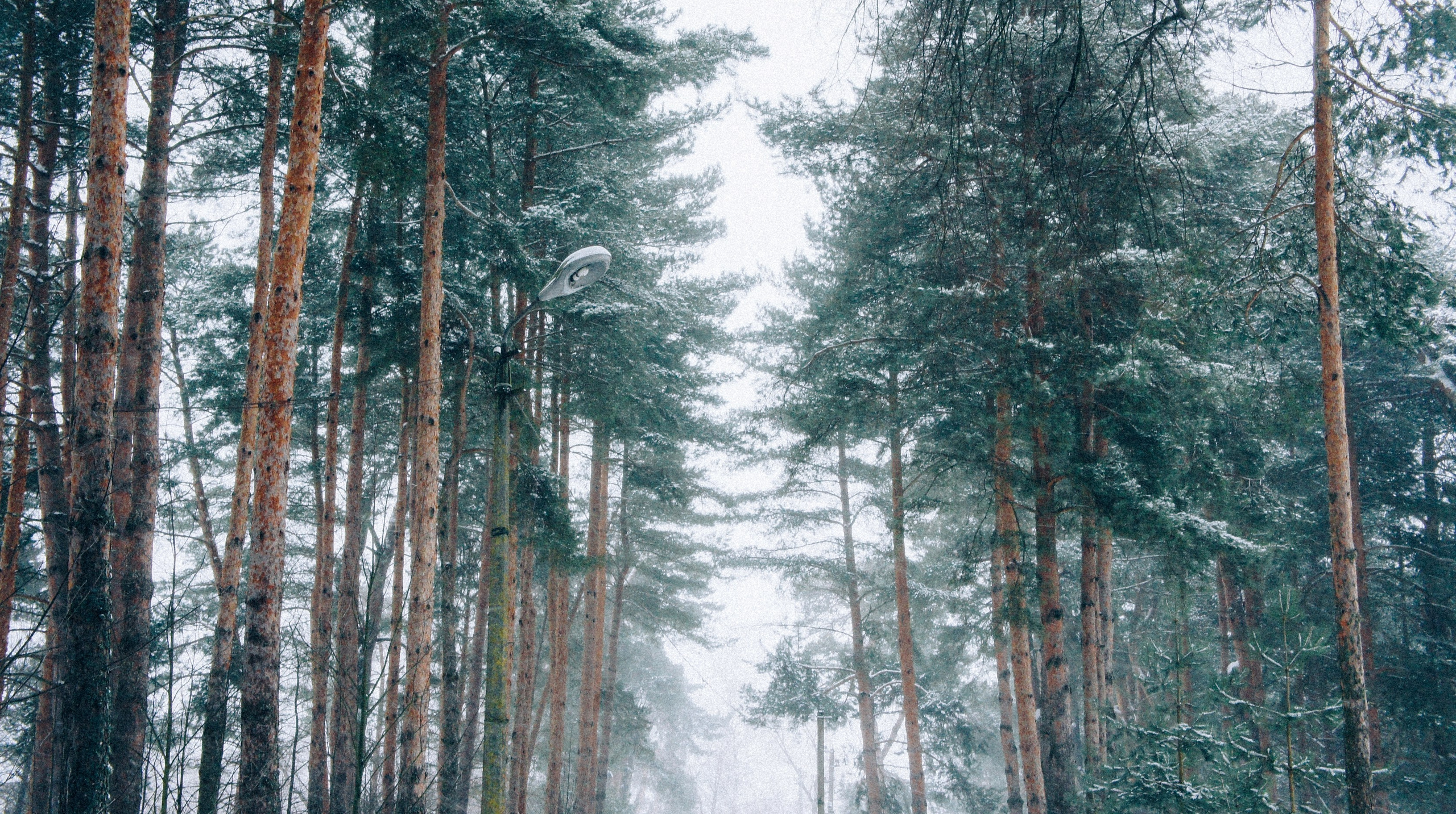 Истории. Элька Мурзина