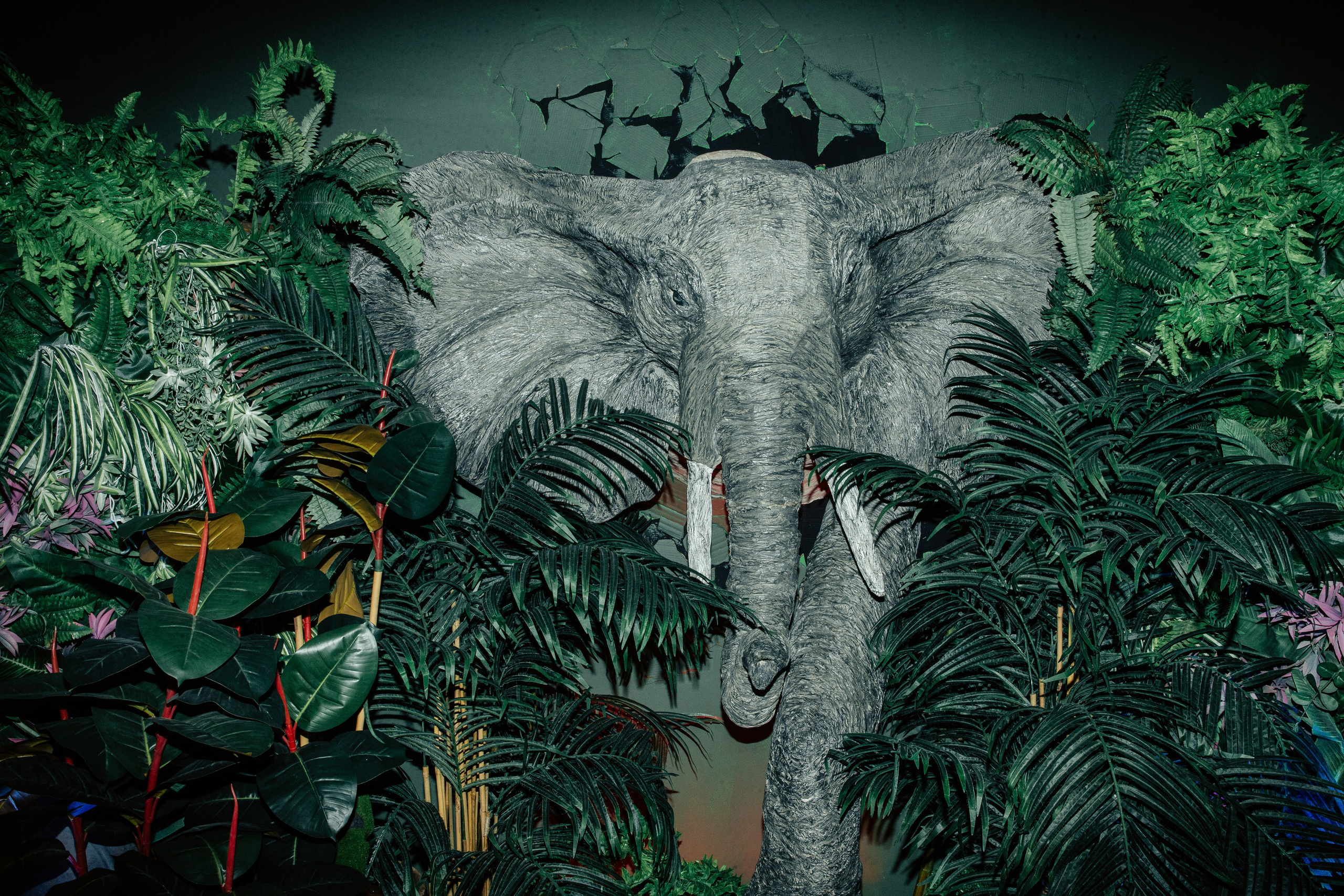 Саше 10 лет. Портфолио свадебного фотографа. Роман Каргаполов