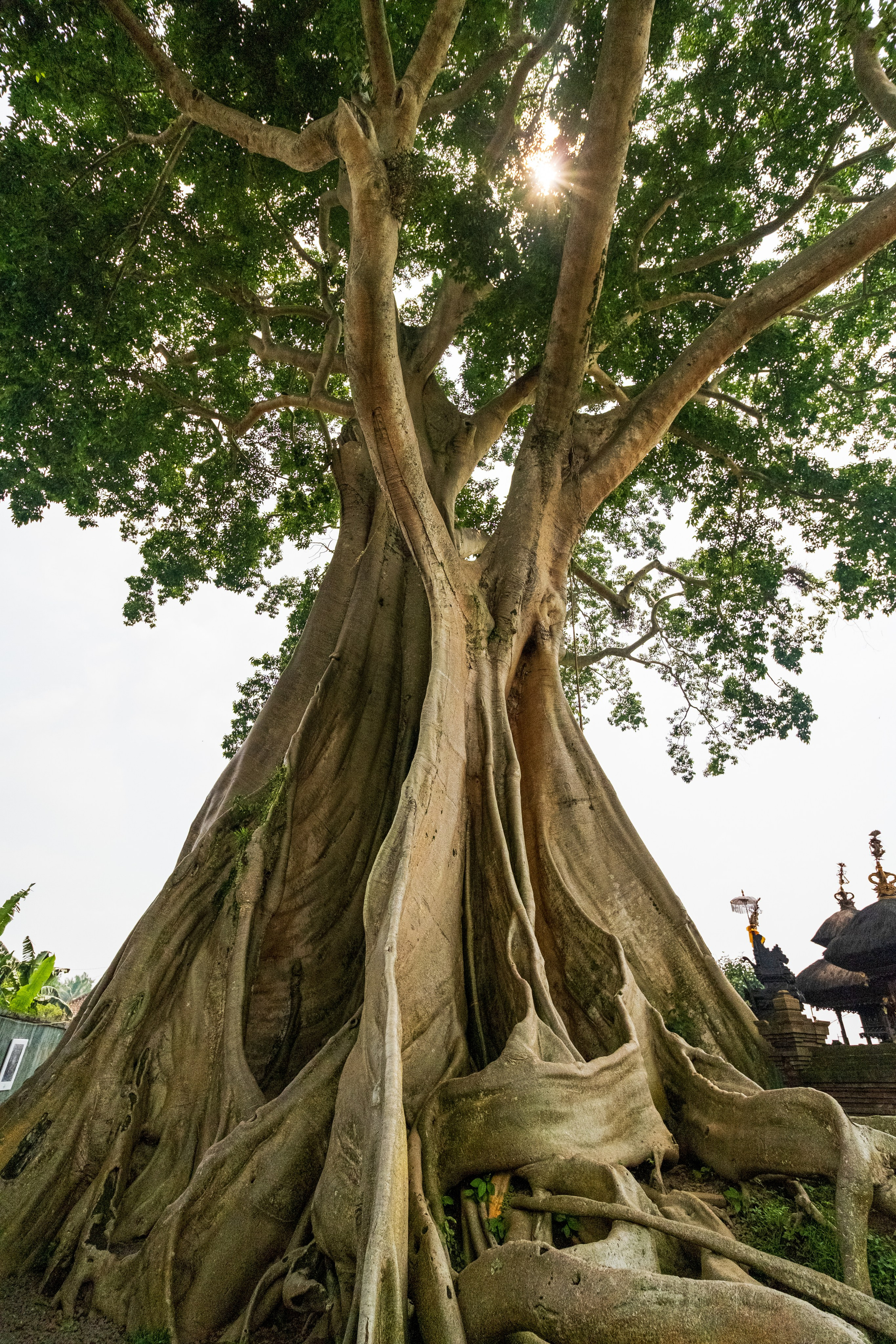 Остров Бали. Фотографии из путешествий