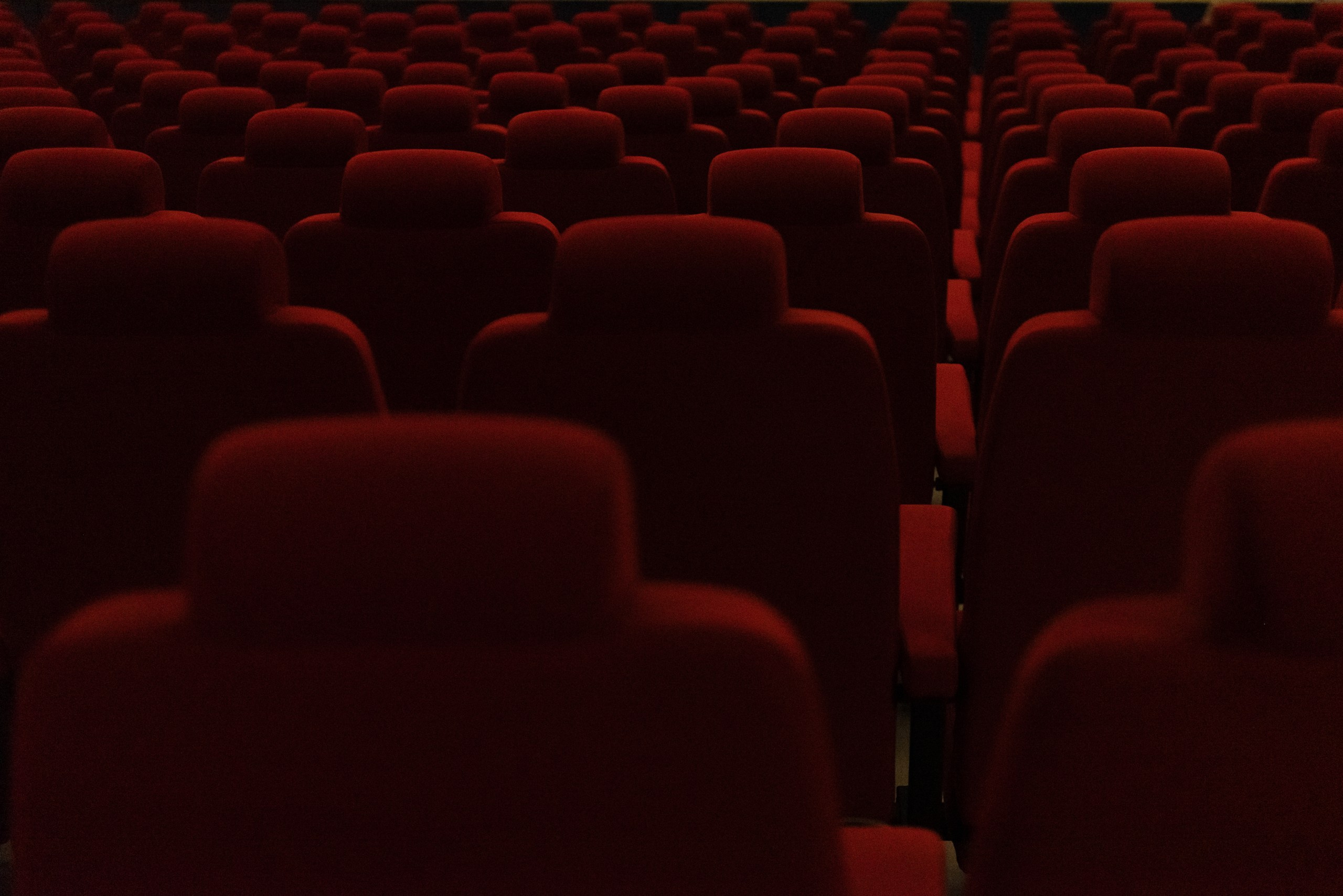 Панковская ветвь. Репортажный фотограф в Санкт-Петербурге Евгений Перевалов