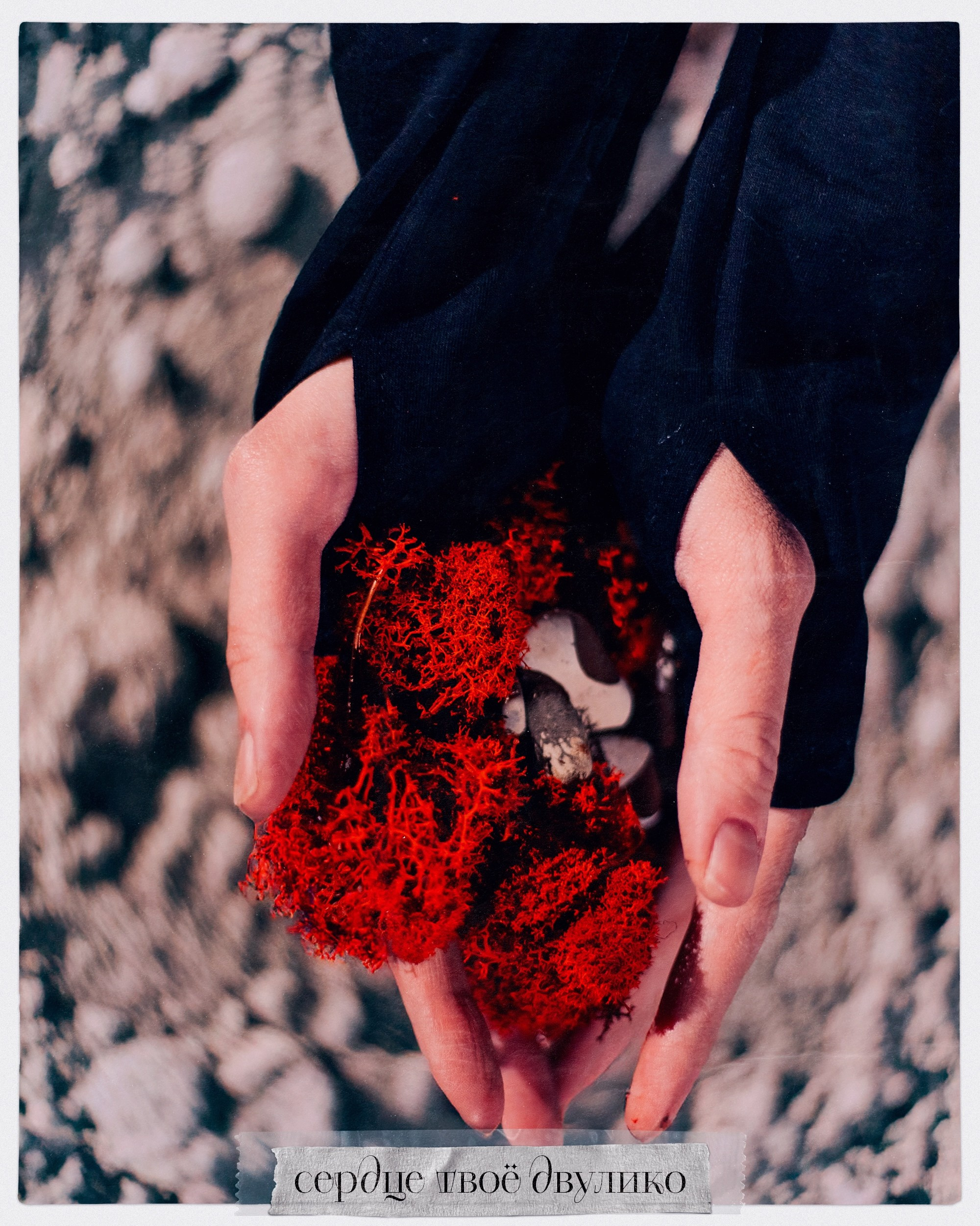 Чёрная луна. Рокография. Аля Рашпиль. Фотограф Москва