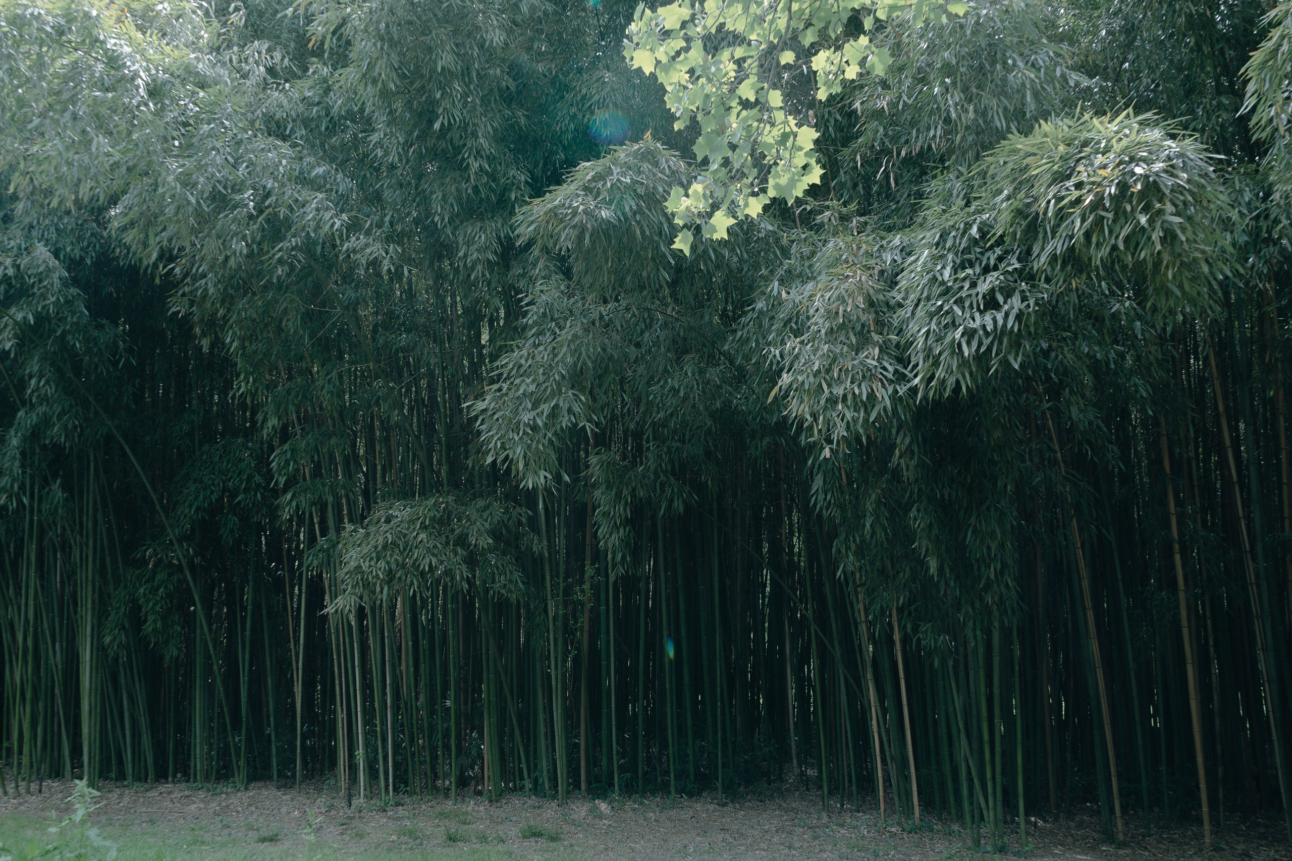 Сочи и Абхазия. Денис Марков — фотограф в Екатеринбурге