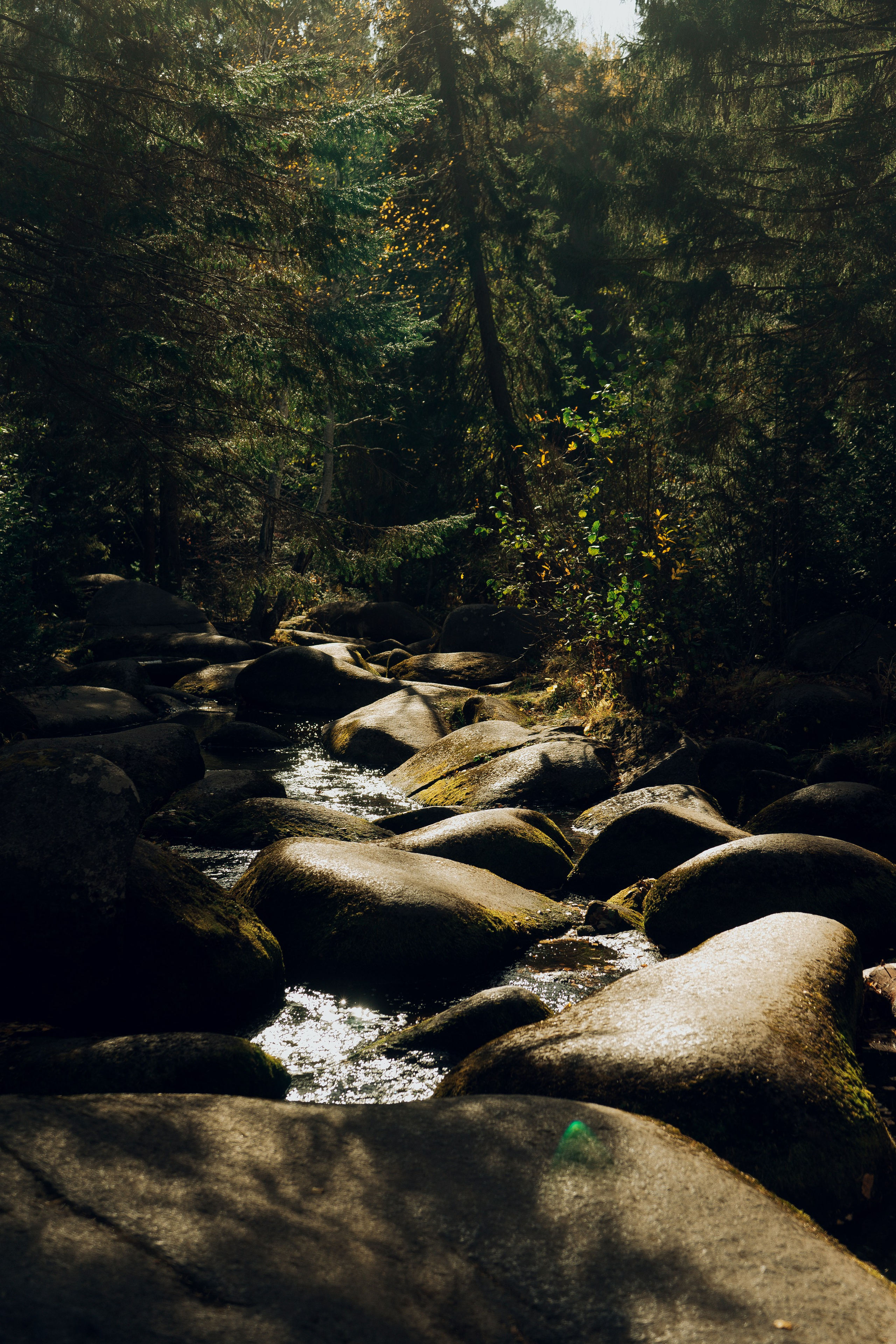 Поход на Соколиный камень. Денис Марков — фотограф в Екатеринбурге