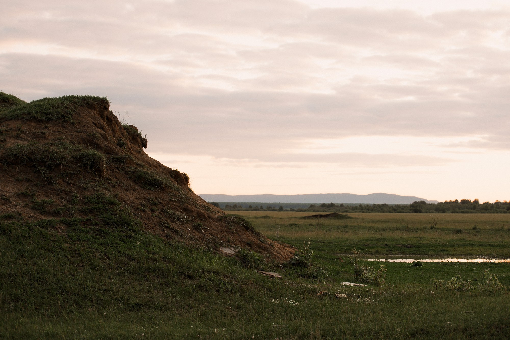 Алексей и Светлана. Свадебный и семейный фотограф в Челябинске