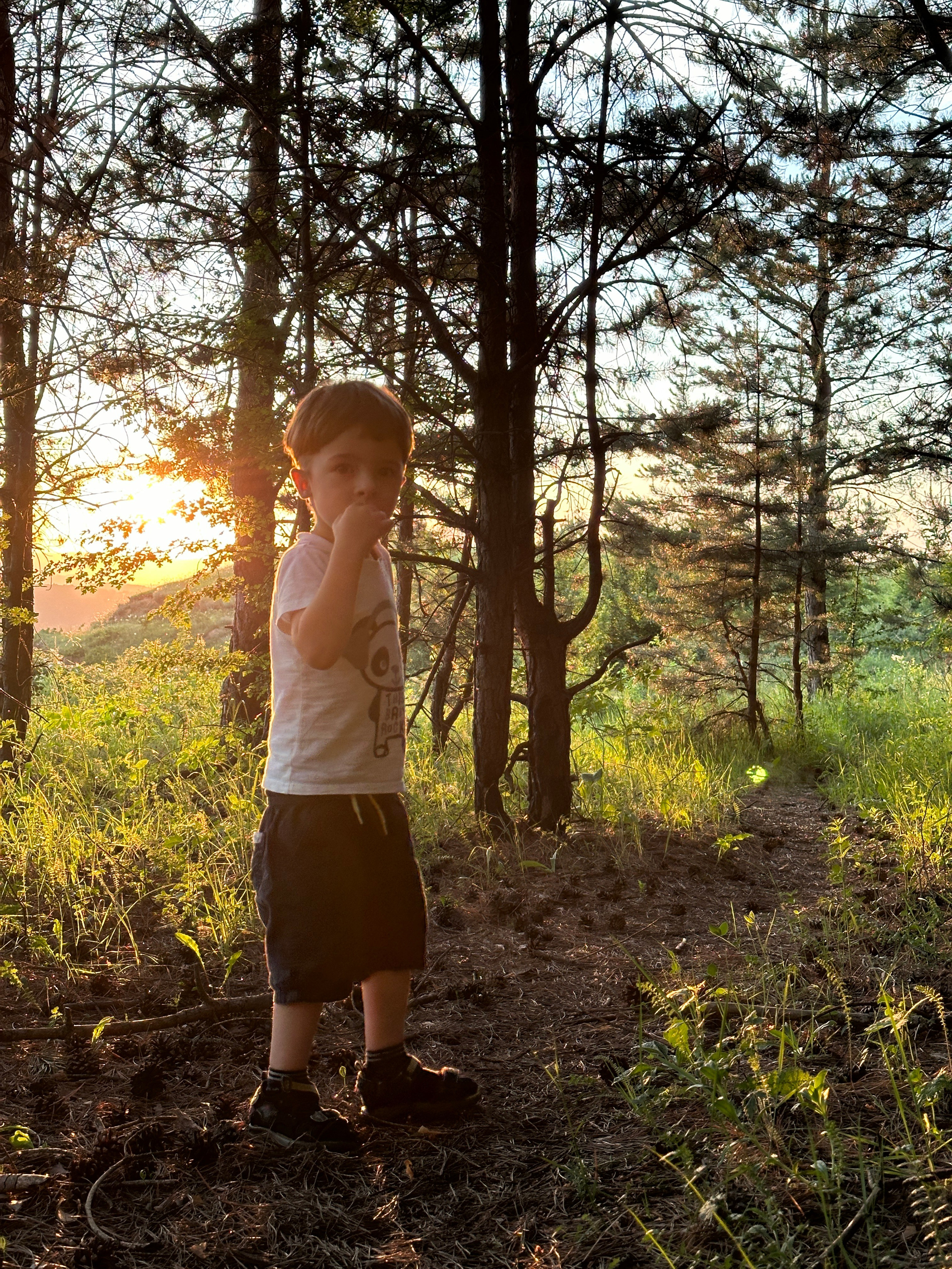Дети. Смотри, красота!