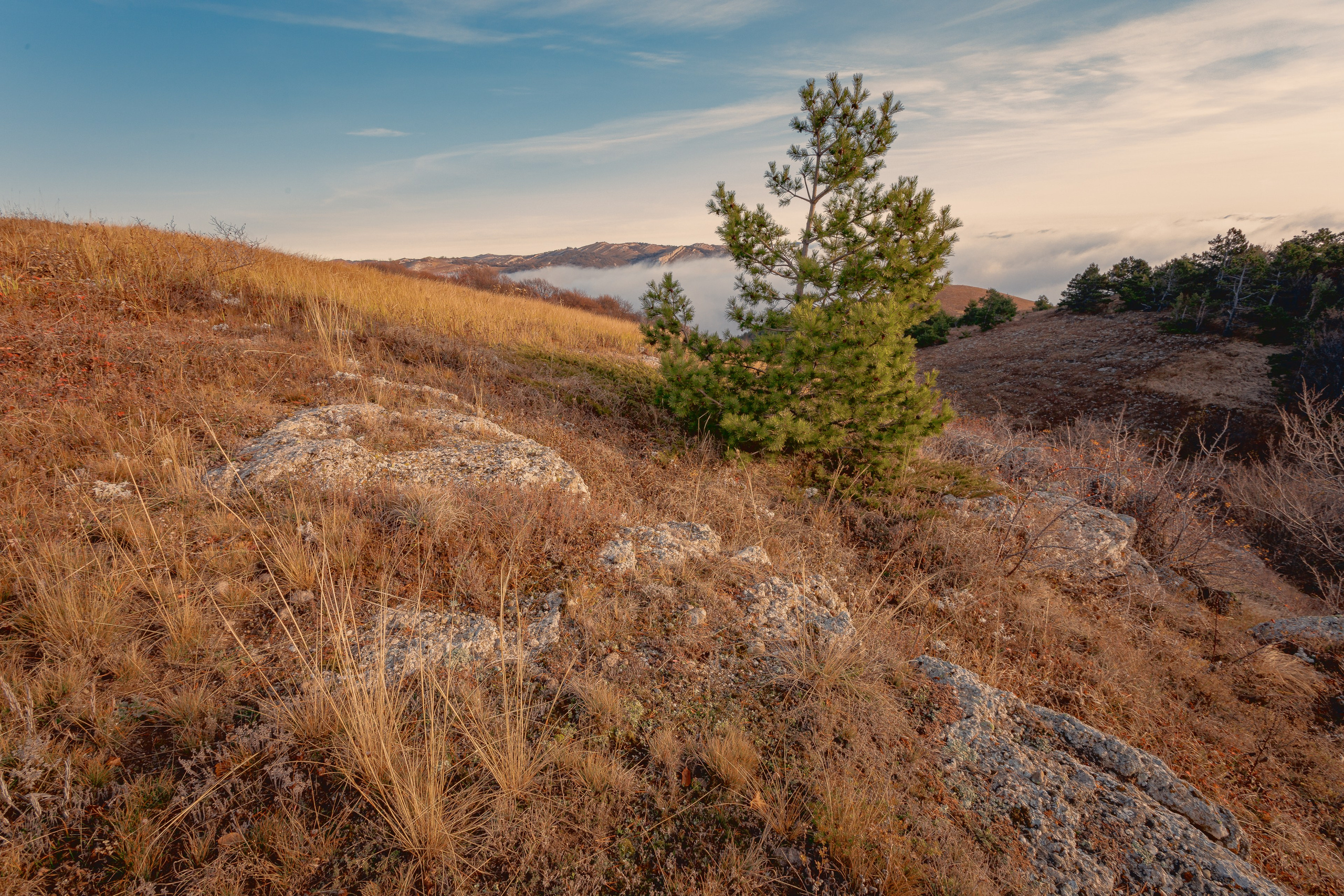 Пейзажная фотография. Фотошкола ArtFotoLife для начинающих и продвинутых фотографов