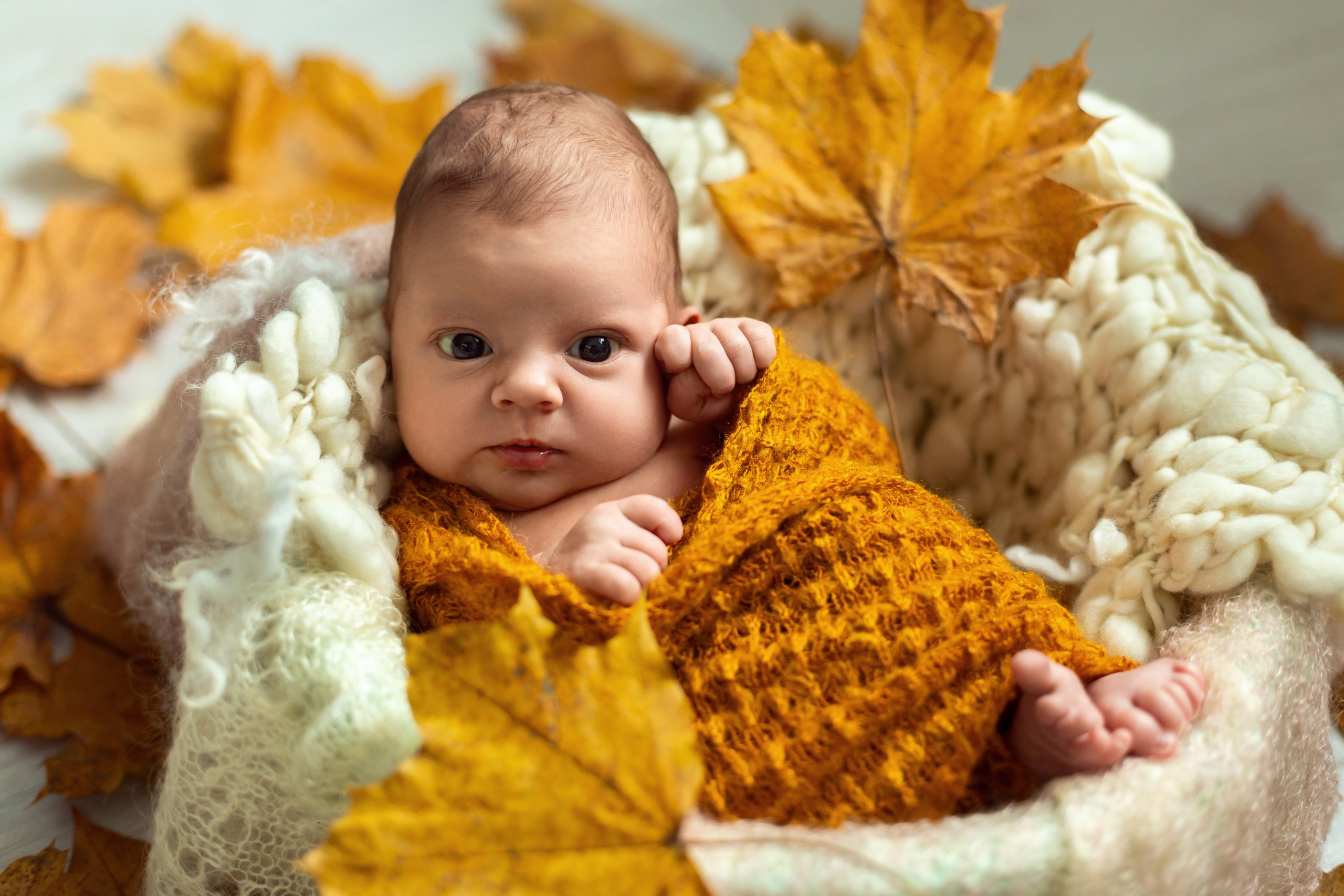 Ньюборн. Репортажный, семейный, школьный фотограф в Иванове Инна Крылова