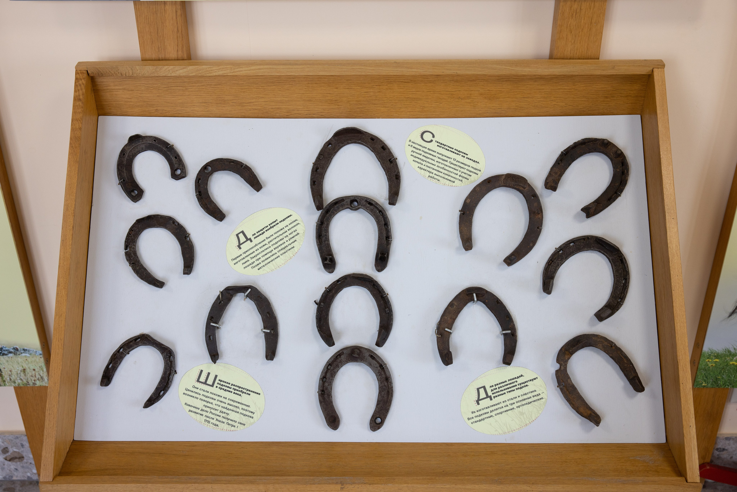 Поездка на поле Кулеково. Фотограф в Туле Крупский АнДРей. Фотостудия «КАДР71» в Туле