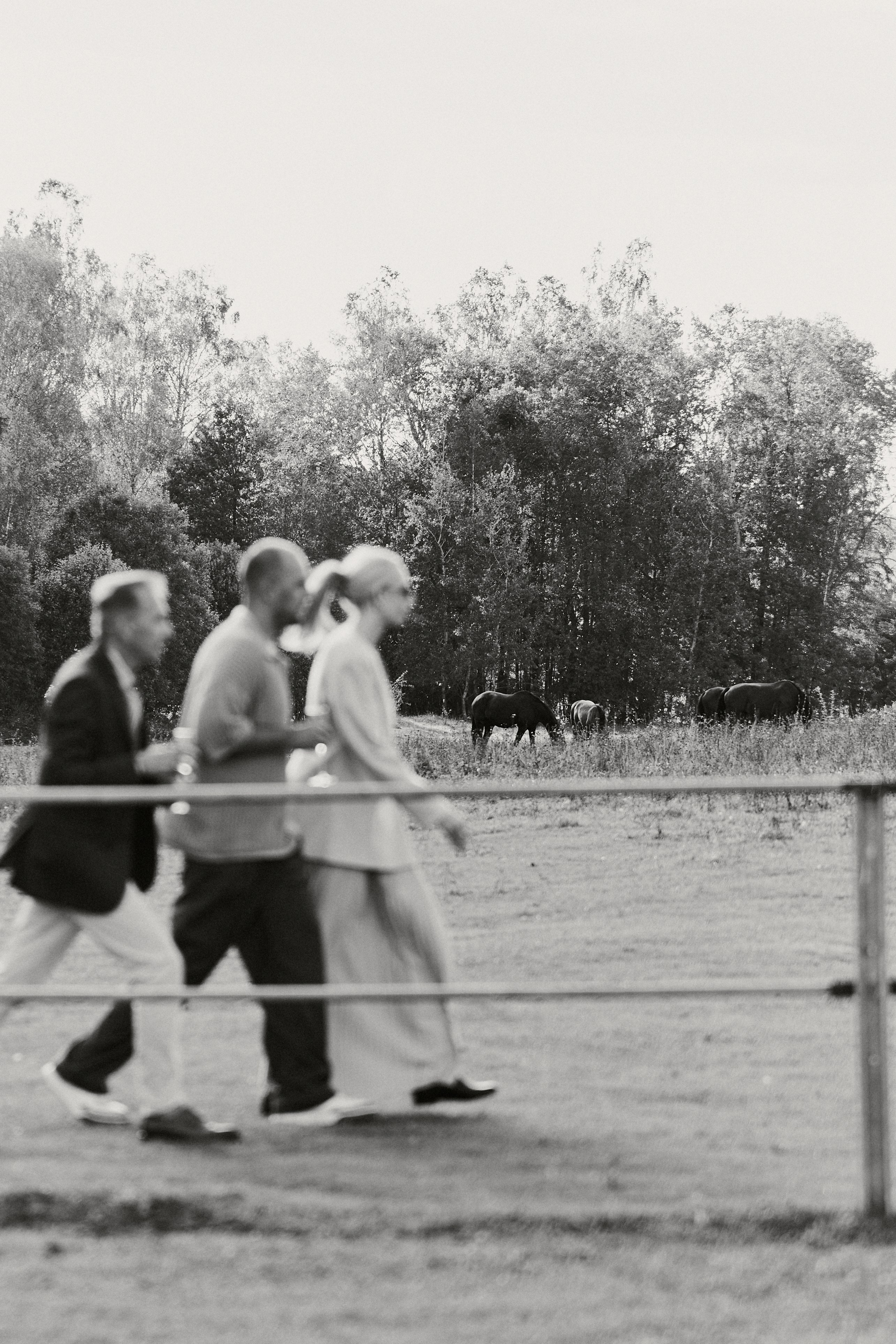 Nikita & Rita. Свадебный фотограф Жучкова Елизавета в Москве